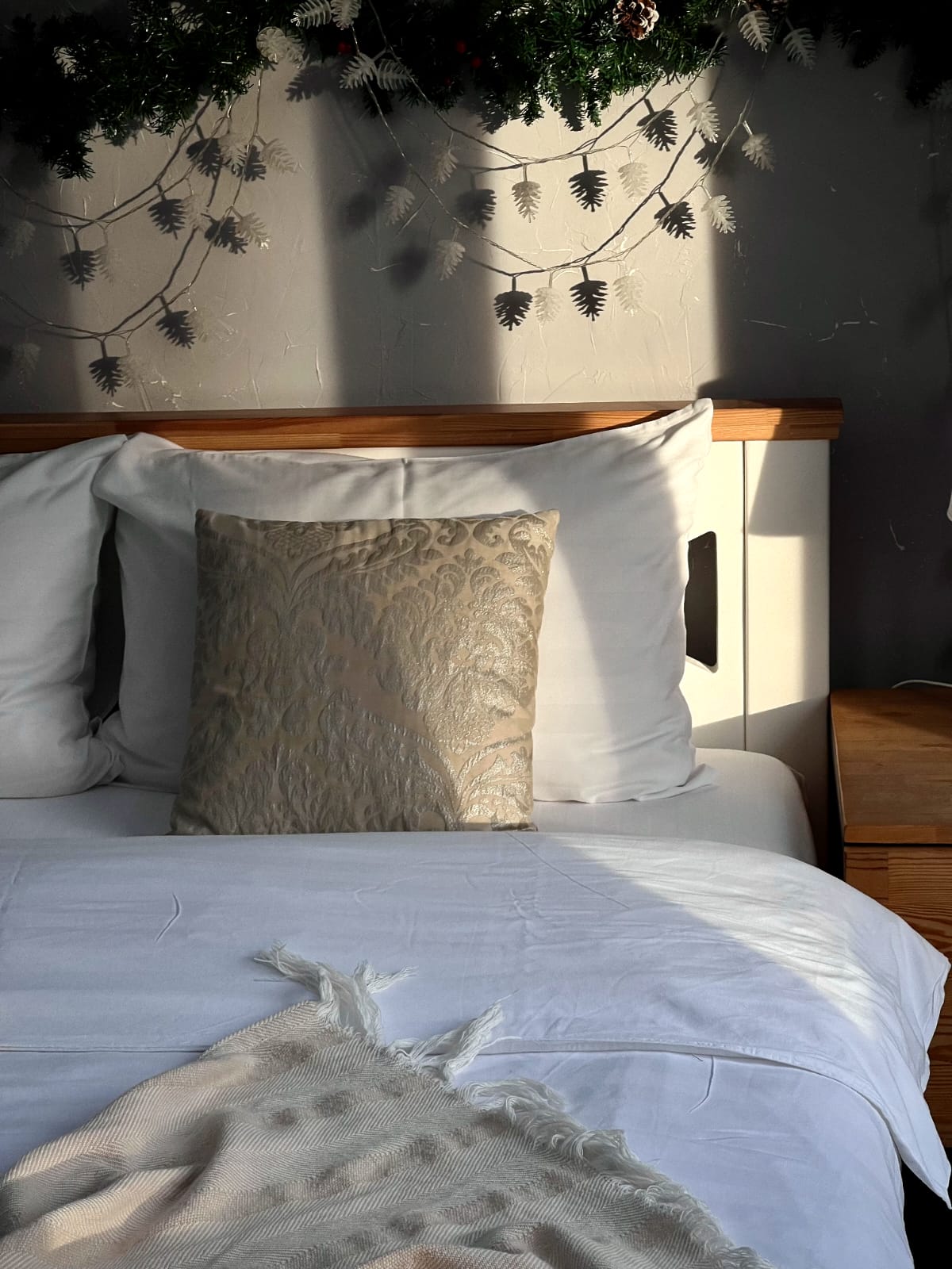 Шале с 1 спальней