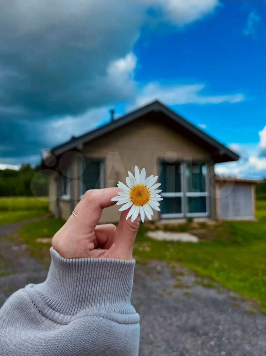 Дом с видом на лес