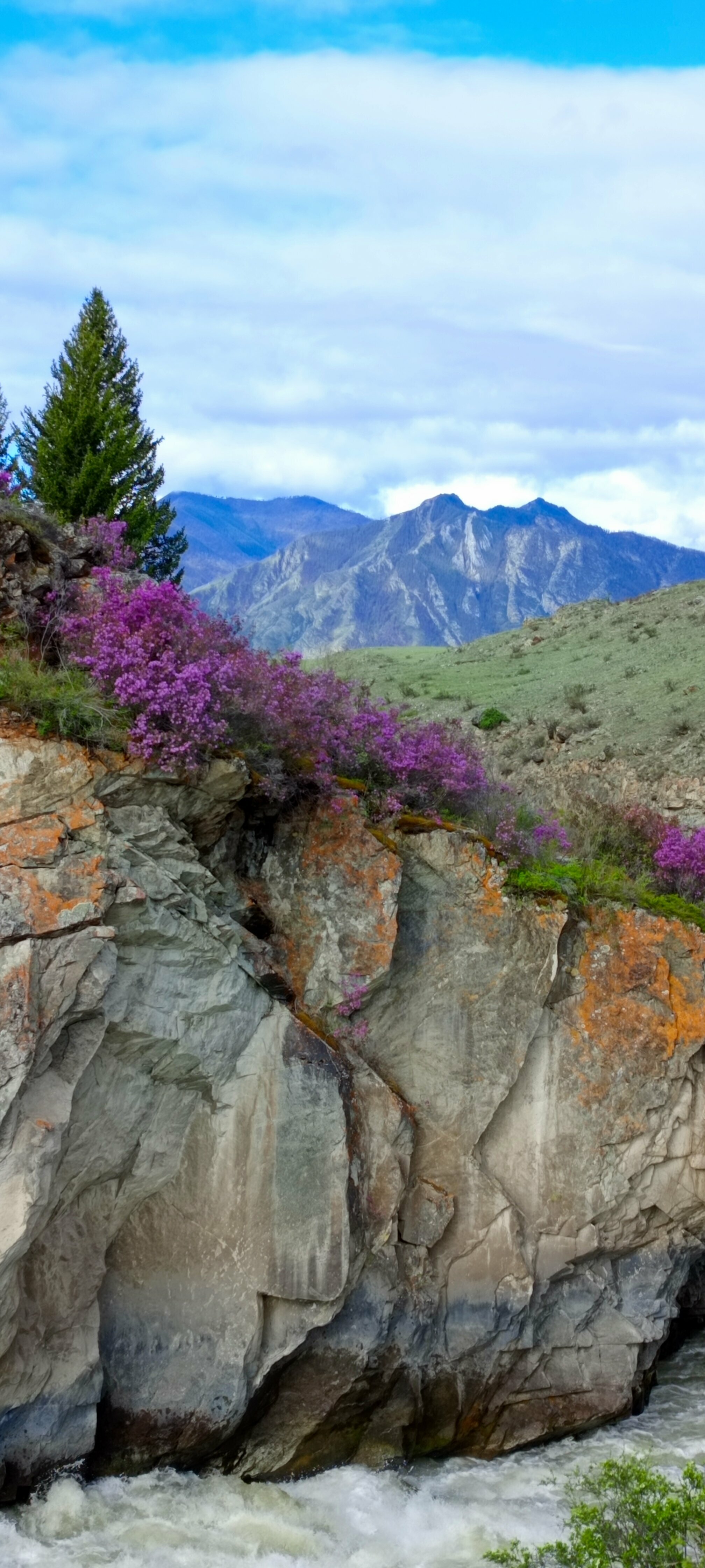 Двухместный номер Делюкс с 2 отдельными кроватями