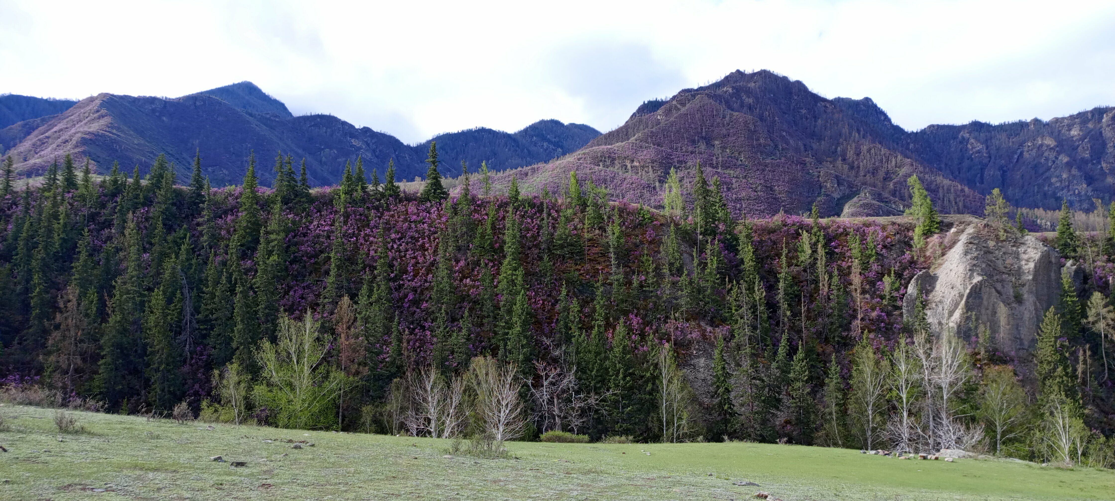 Двухместный номер с 1 кроватью и собственной ванной комнатой