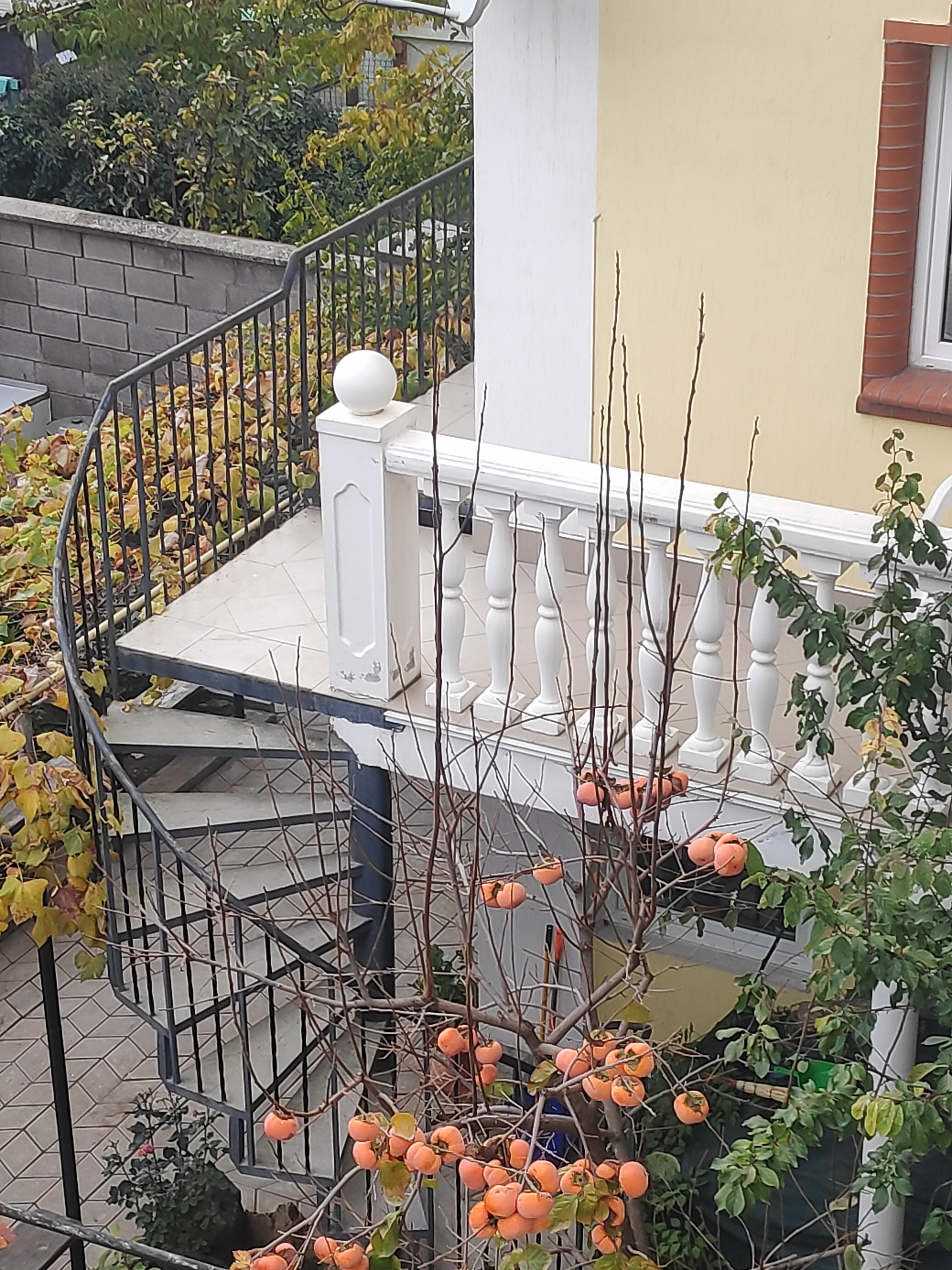 Двухкомнатный полулюкс с кухней