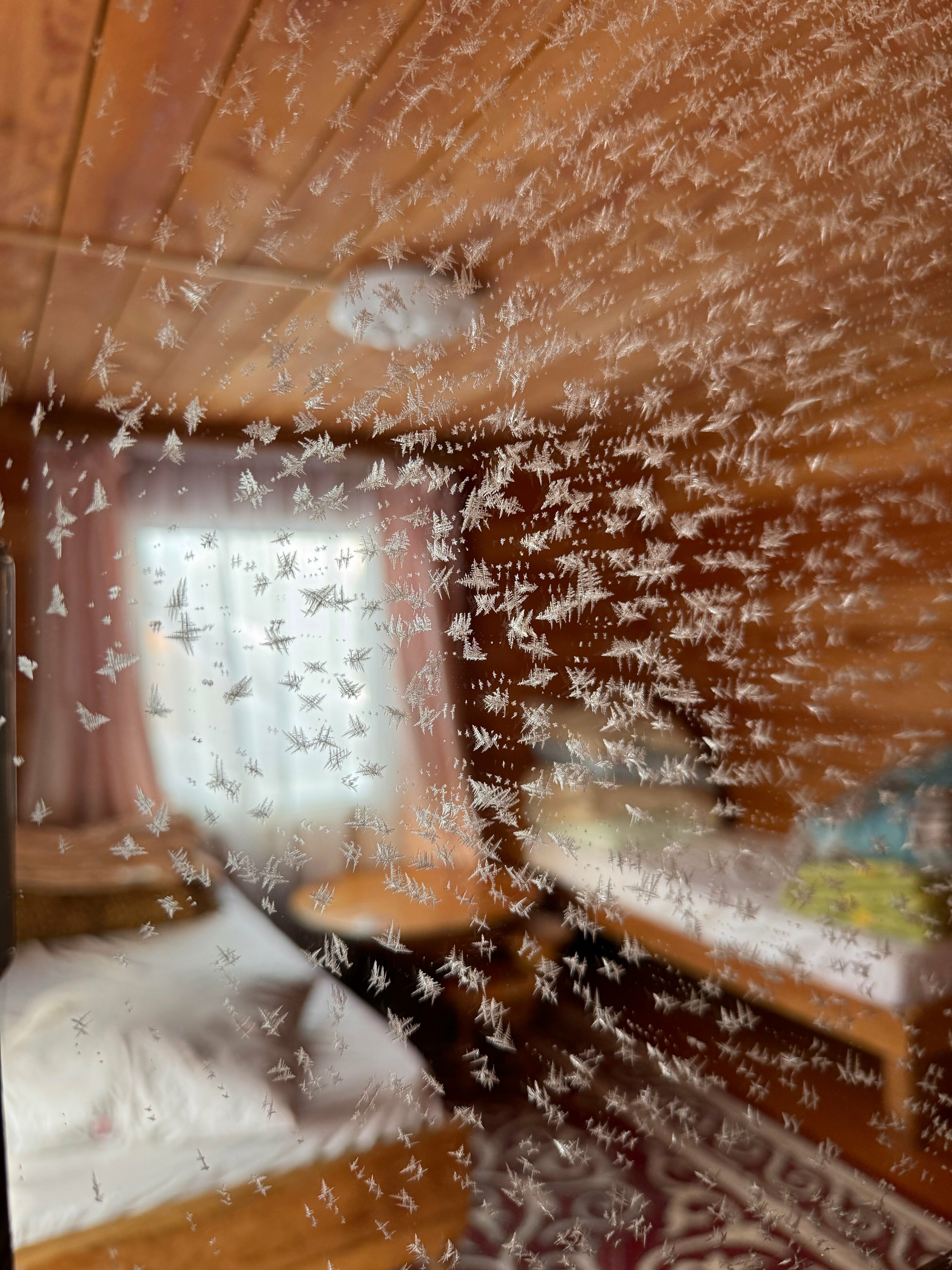 Бюджетный двухместный номер с 2 отдельными кроватями