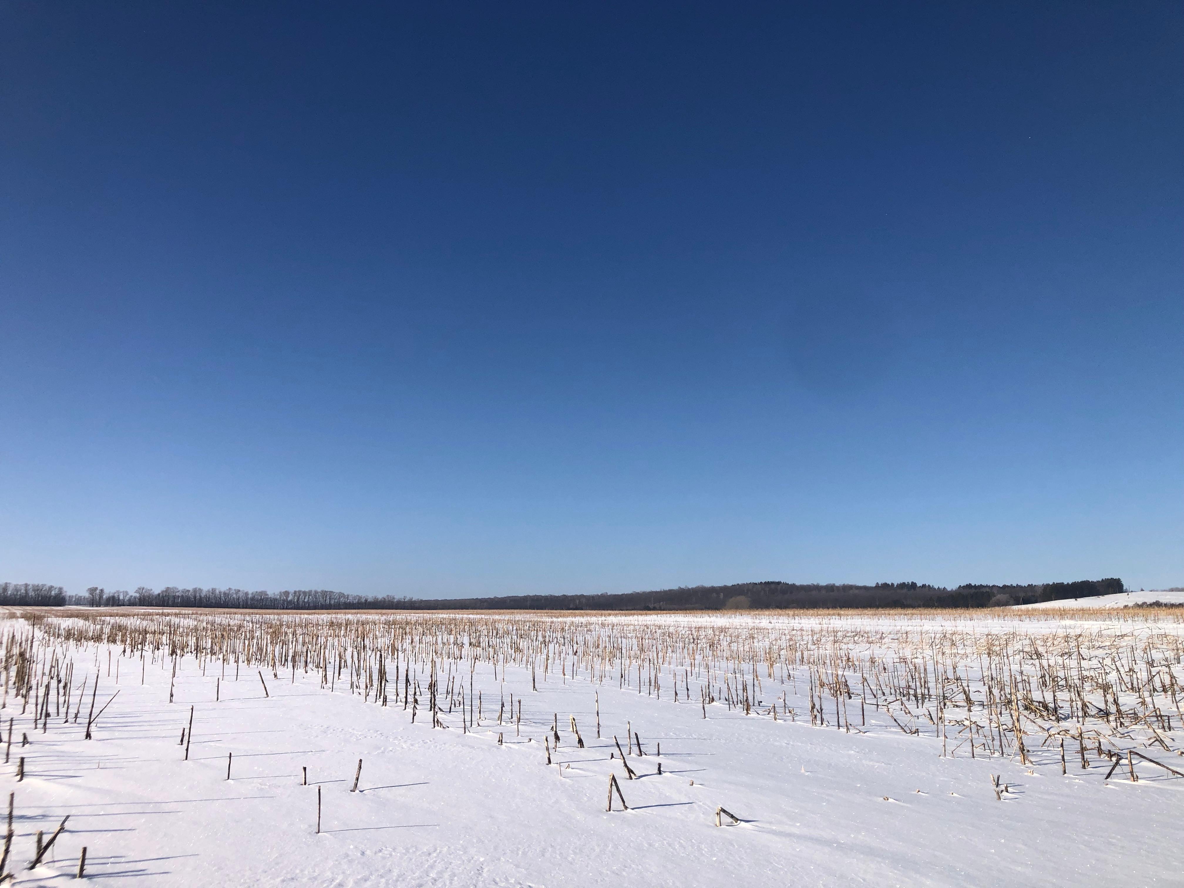 Дом для семейного отдыха