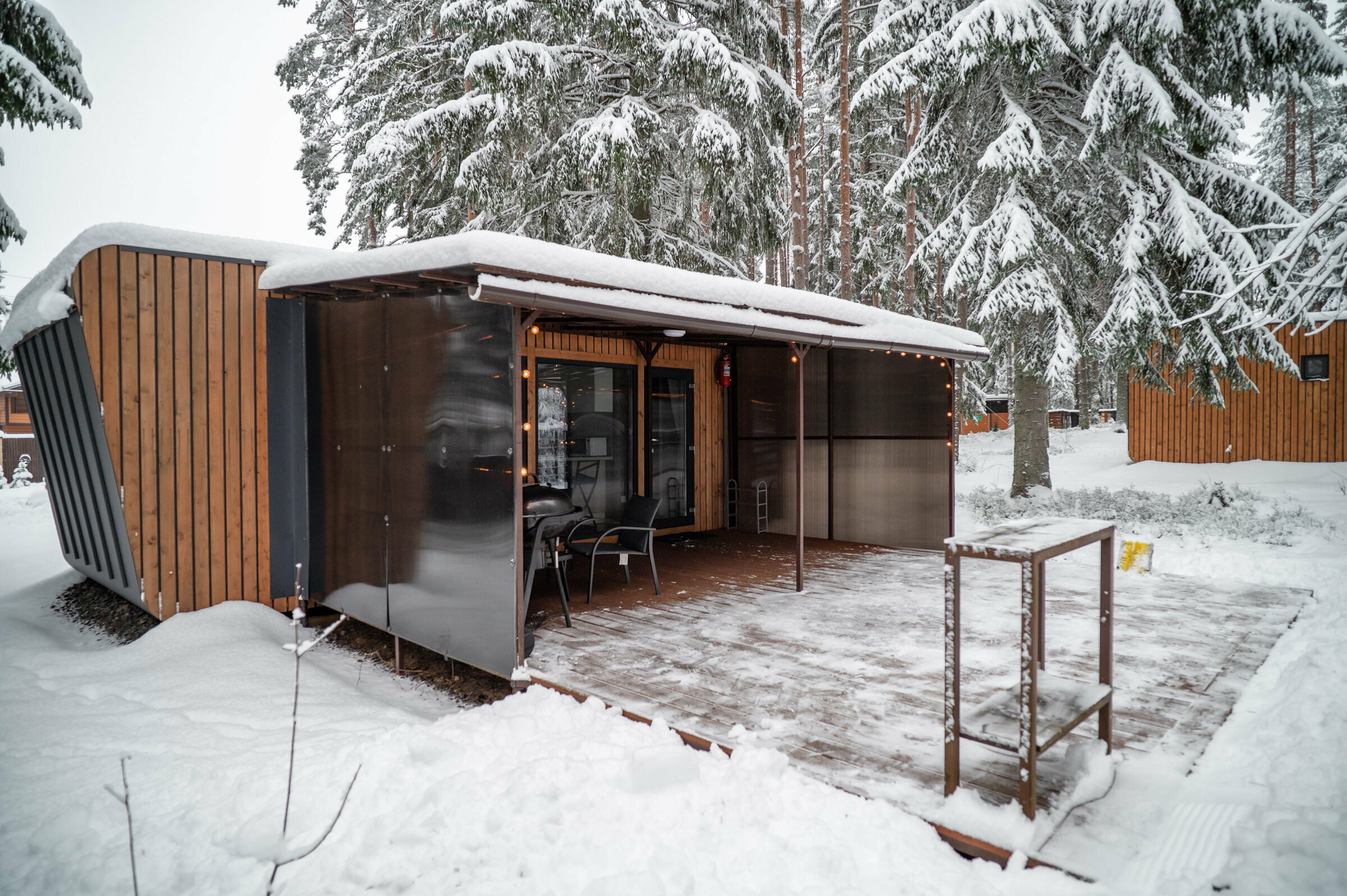 Дом с видом на лес