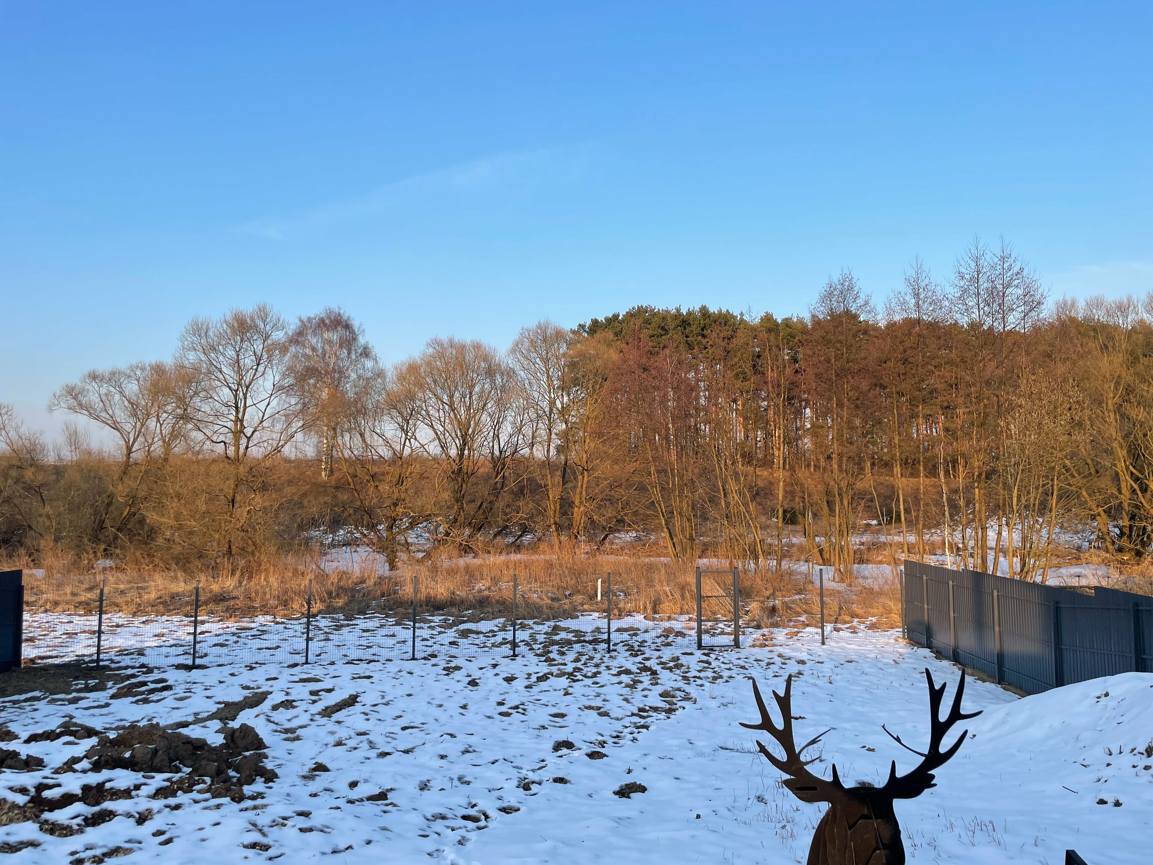 Дом с видом на лес