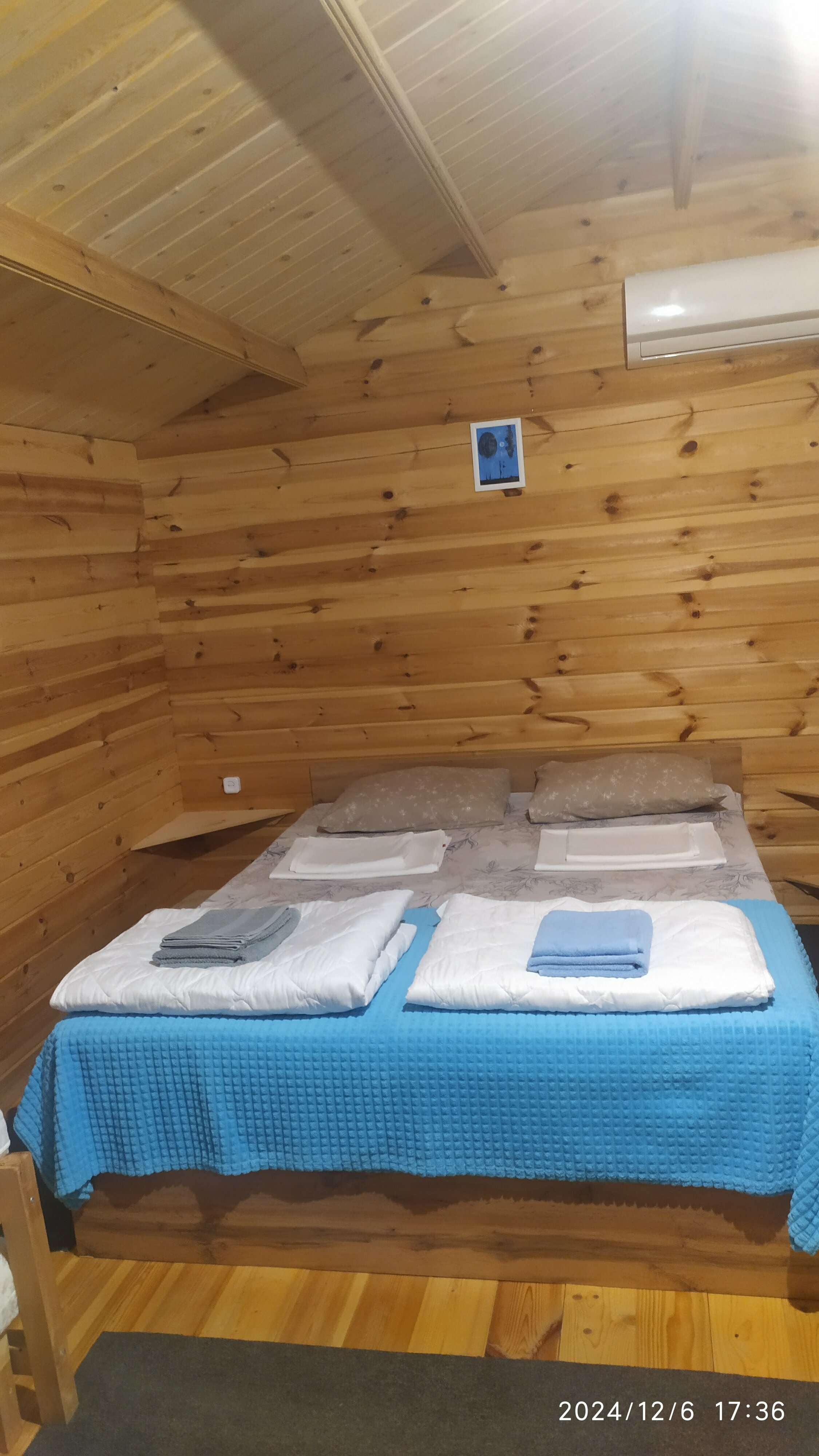 Двухместный номер с 1 кроватью и видом на парк