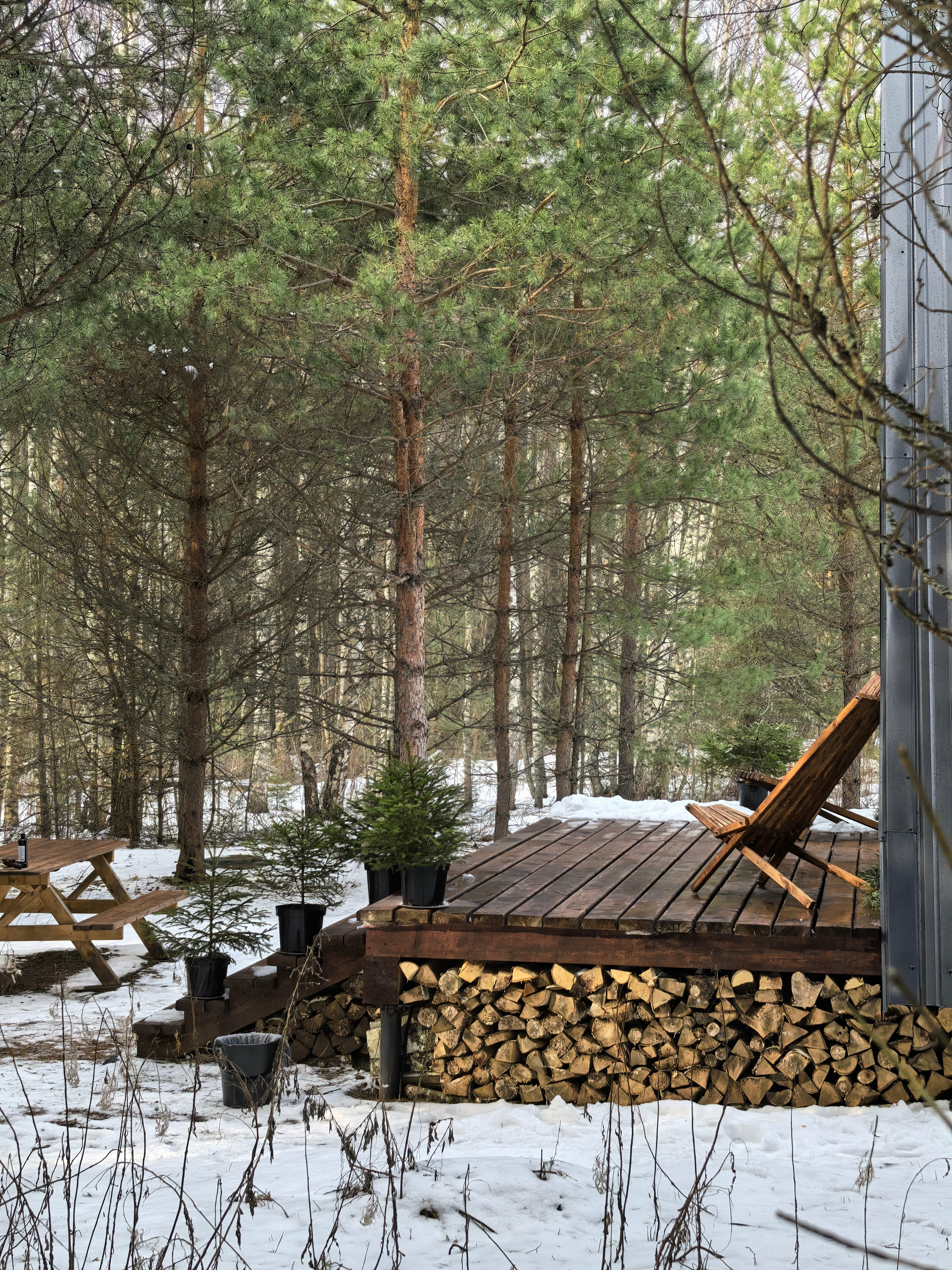 Дом с видом на лес