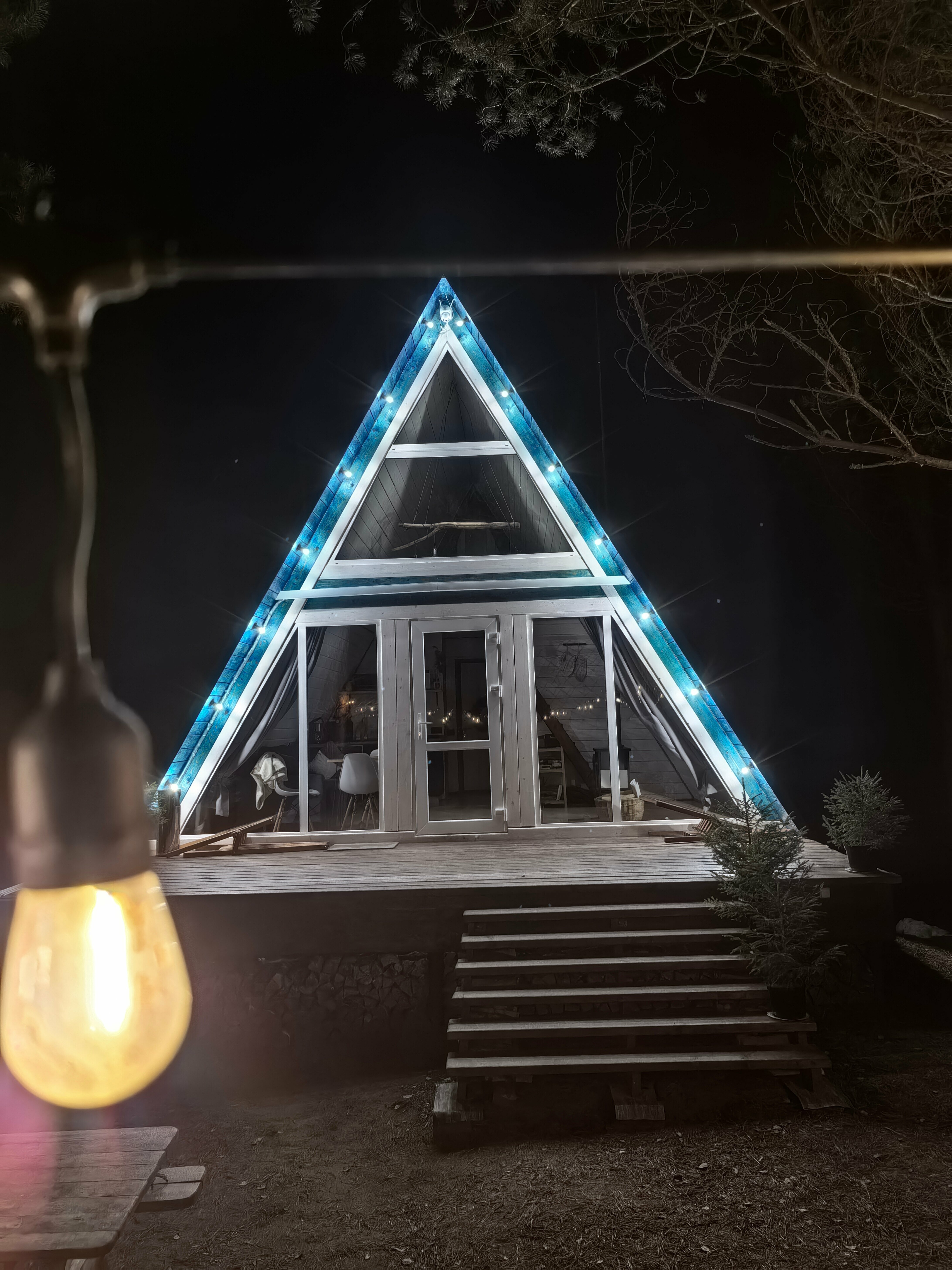 Дом с видом на лес