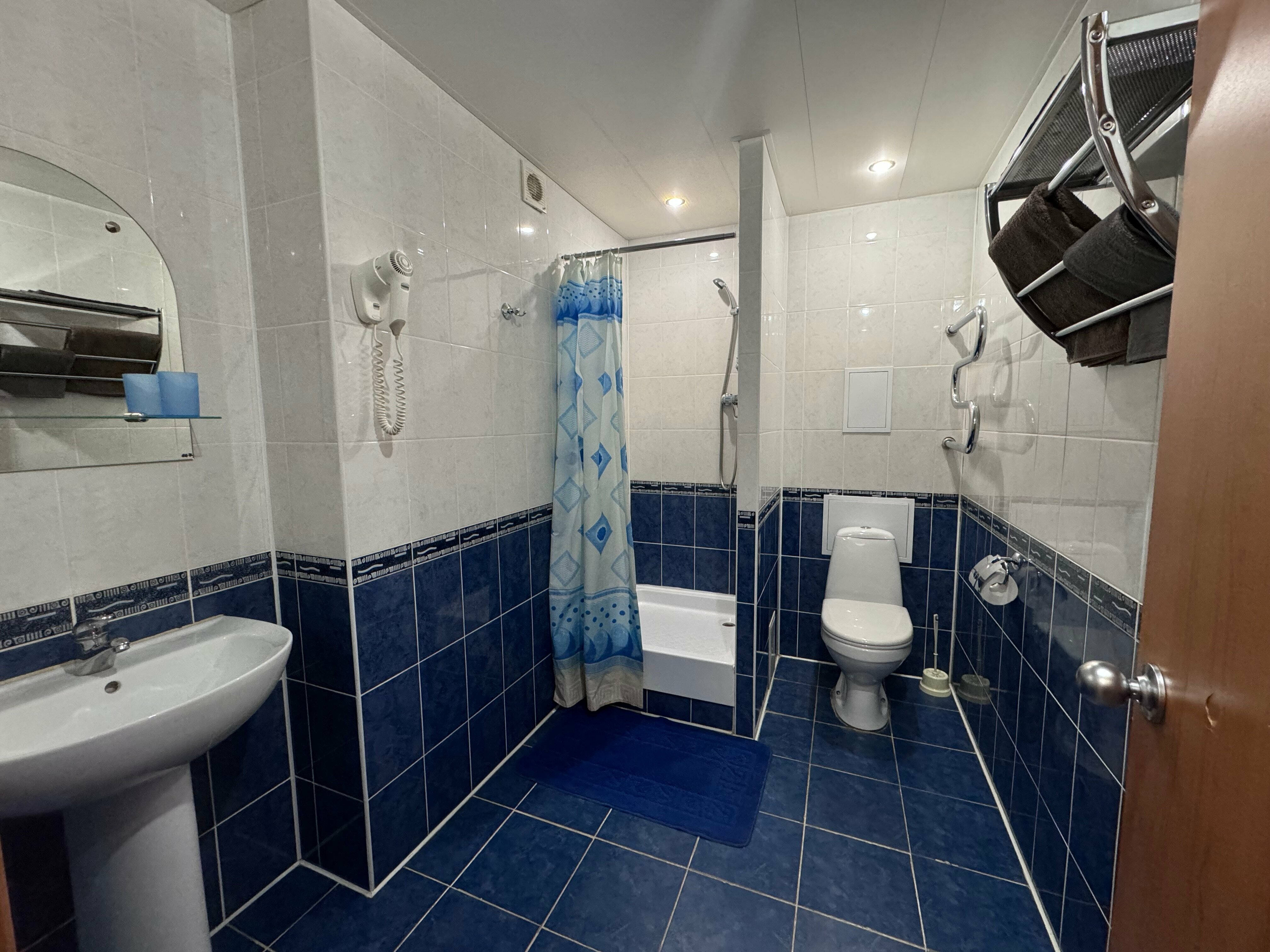 Двухместный номер Делюкс с 1 кроватью