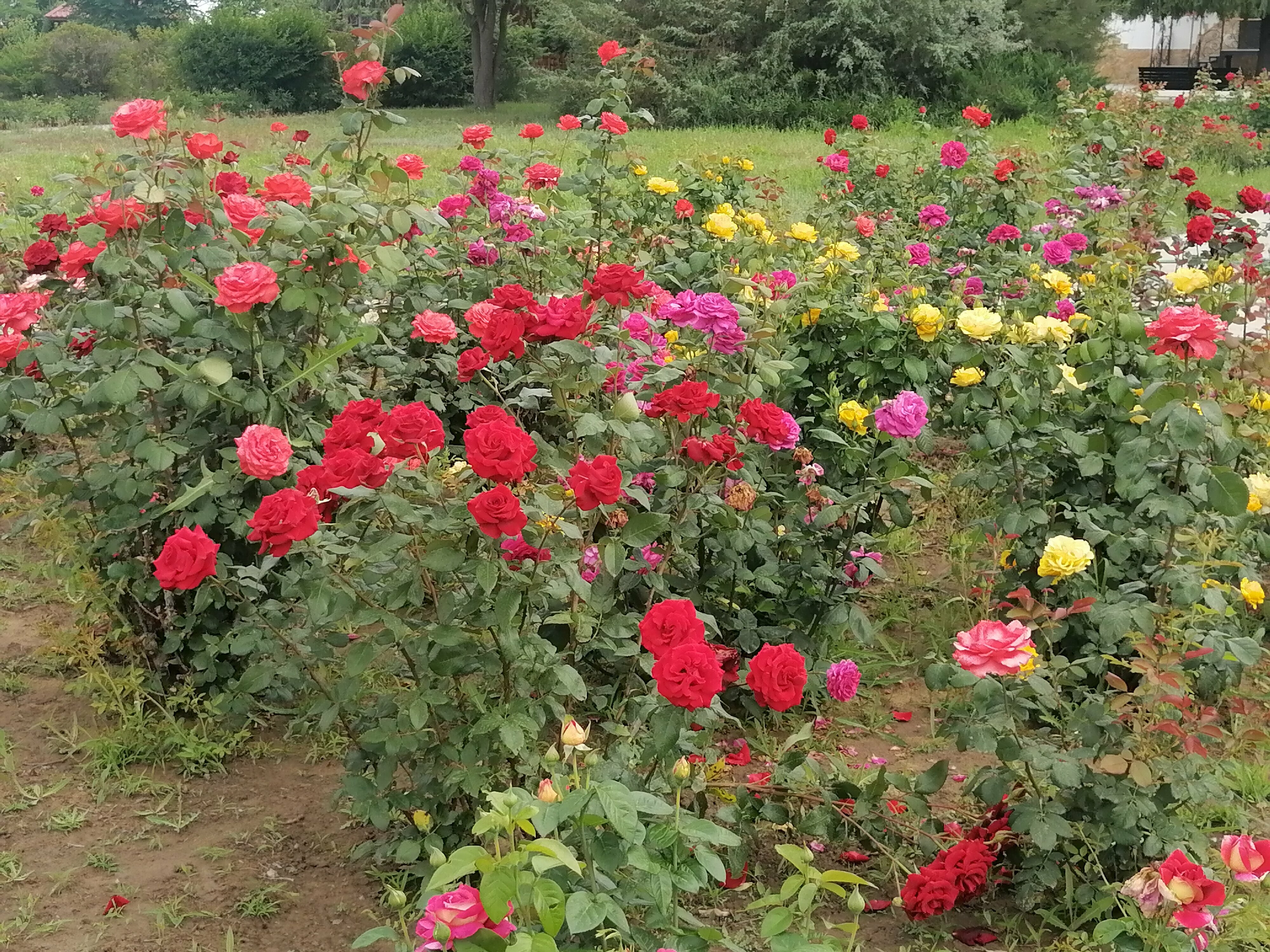 Классический четырехместный номер