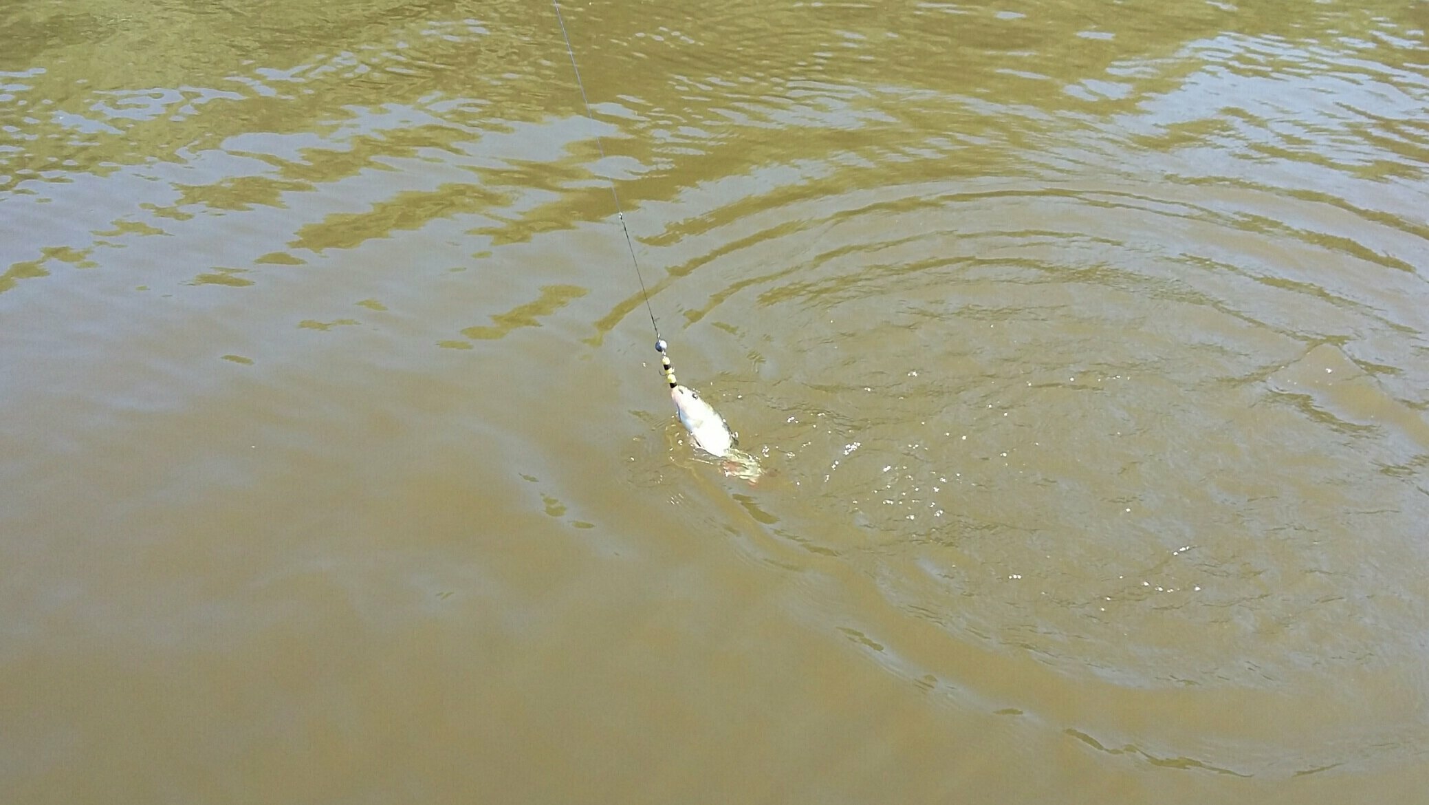 Люкс с 2 спальнями