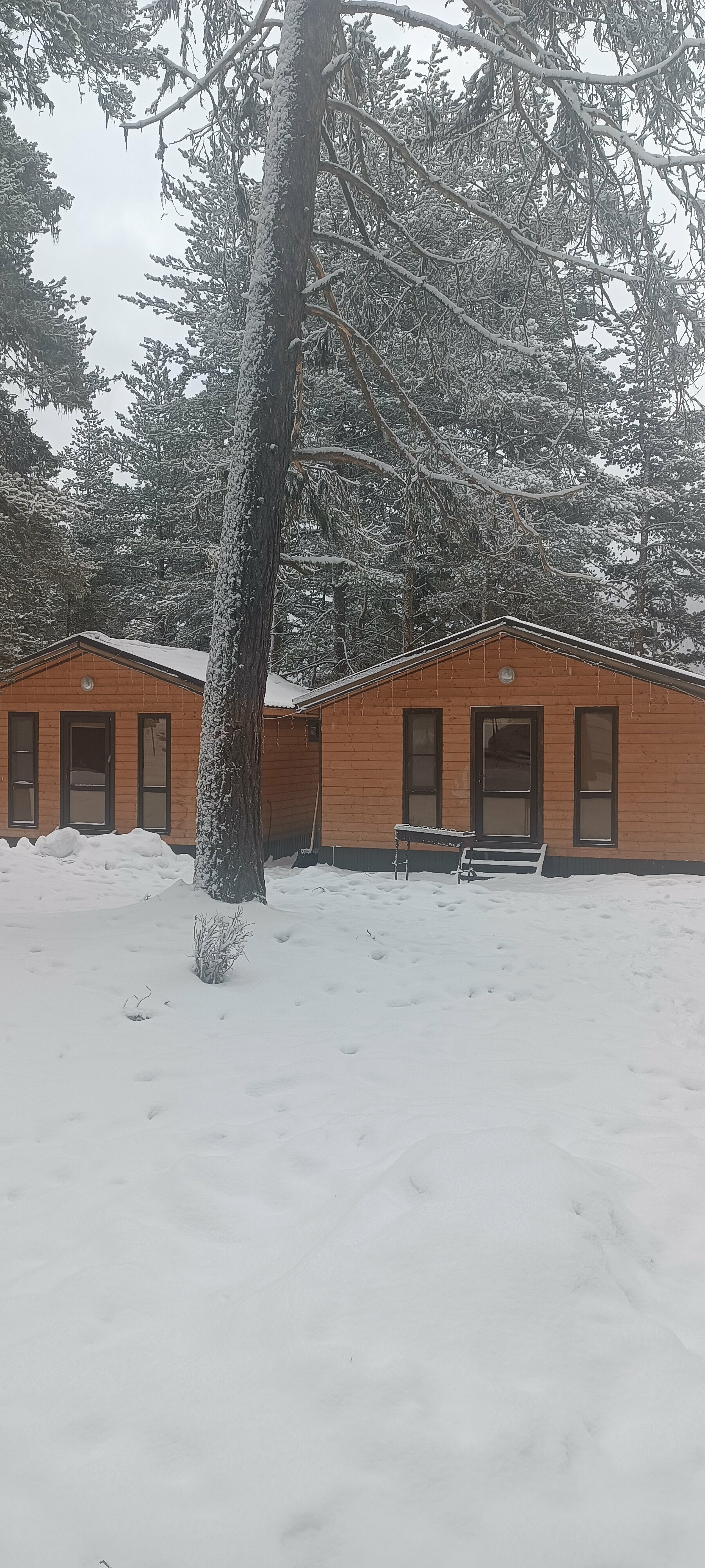 Классический четырехместный номер