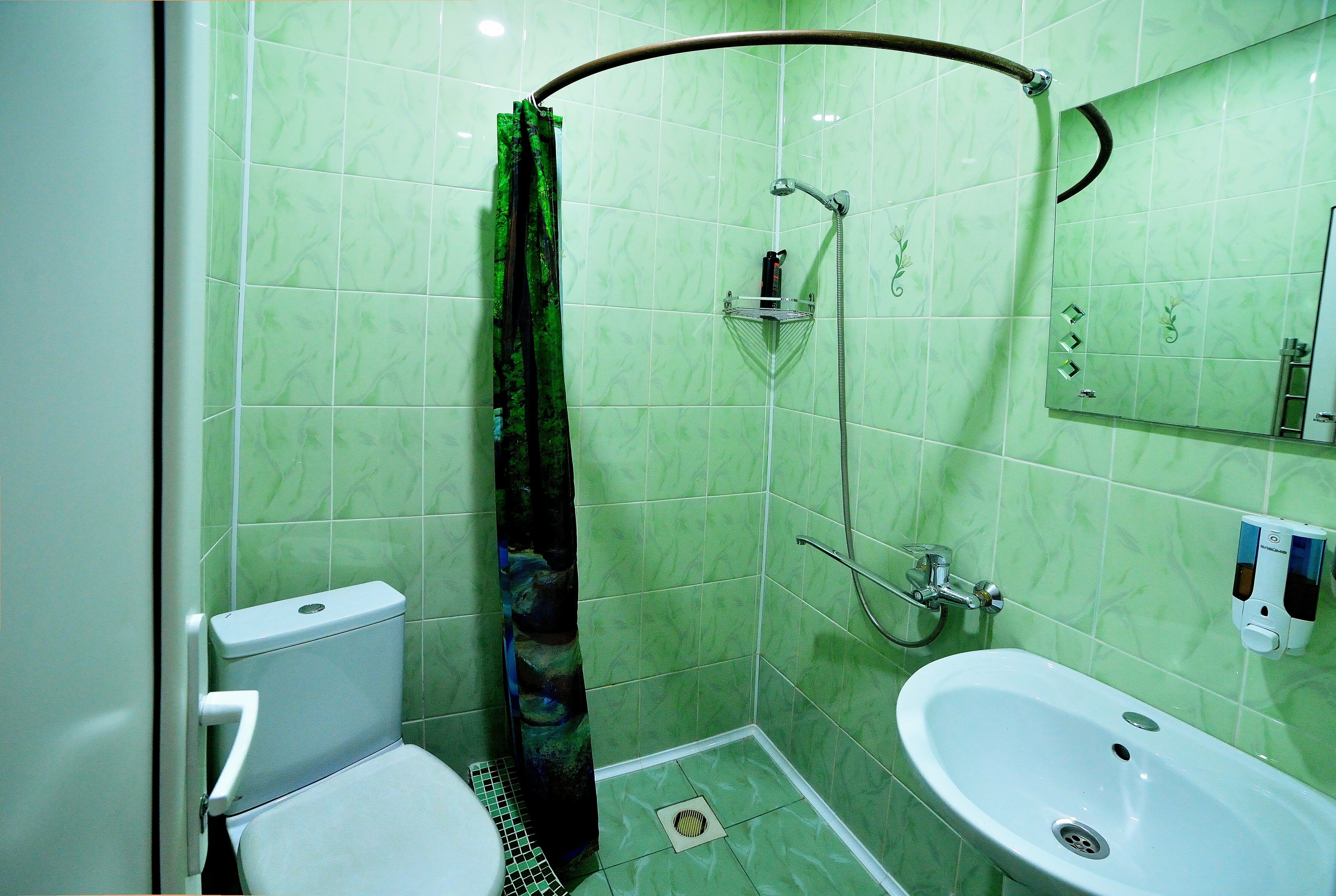 Двухместный номер-студия Делюкс с 1 кроватью