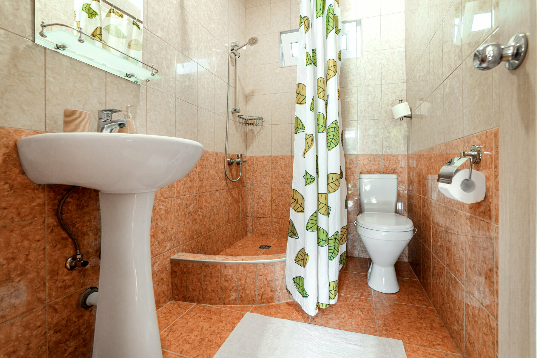 Двухместный номер с 1 кроватью и собственной ванной комнатой