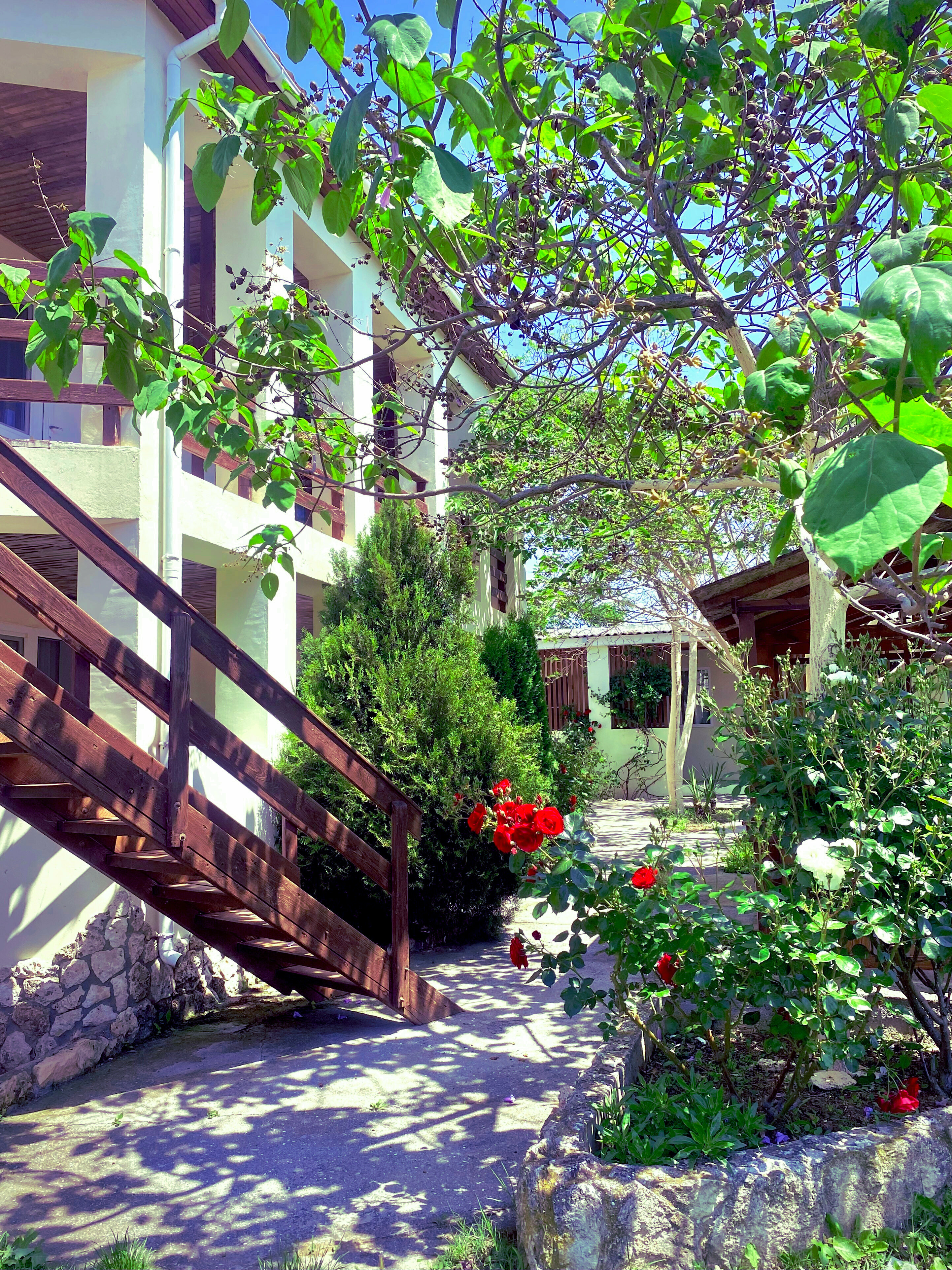 Одноместный номер