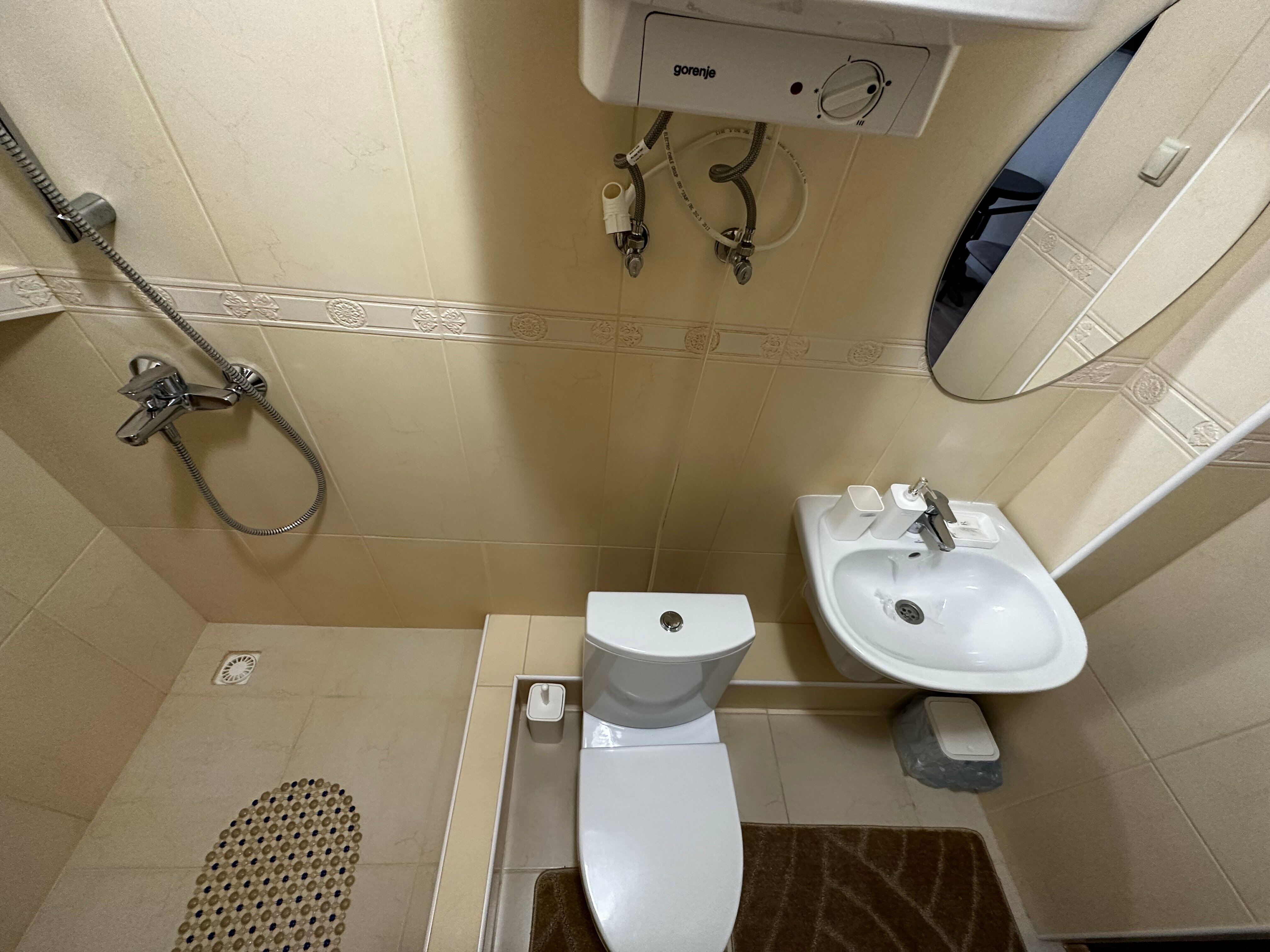 Двухместный номер с 1 кроватью и видом на парк