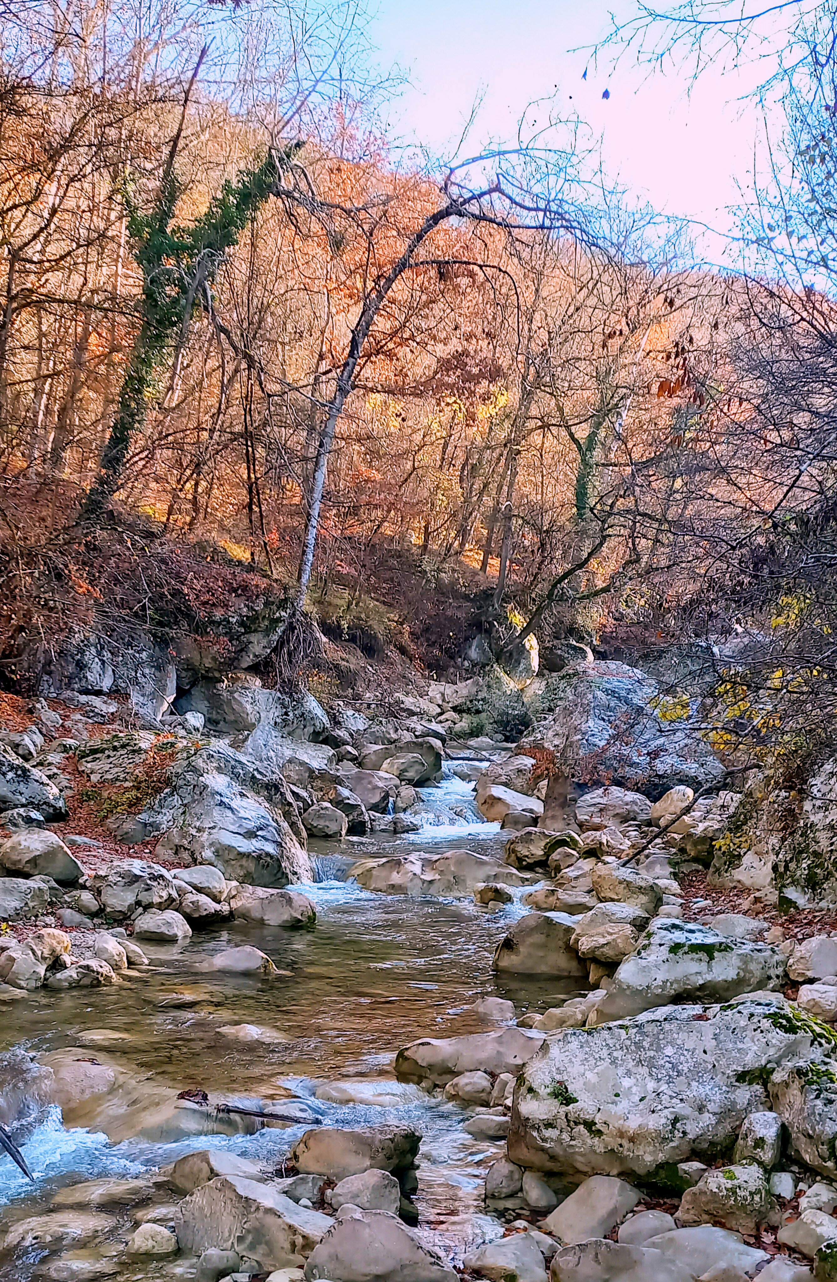 Дом с видом на горы