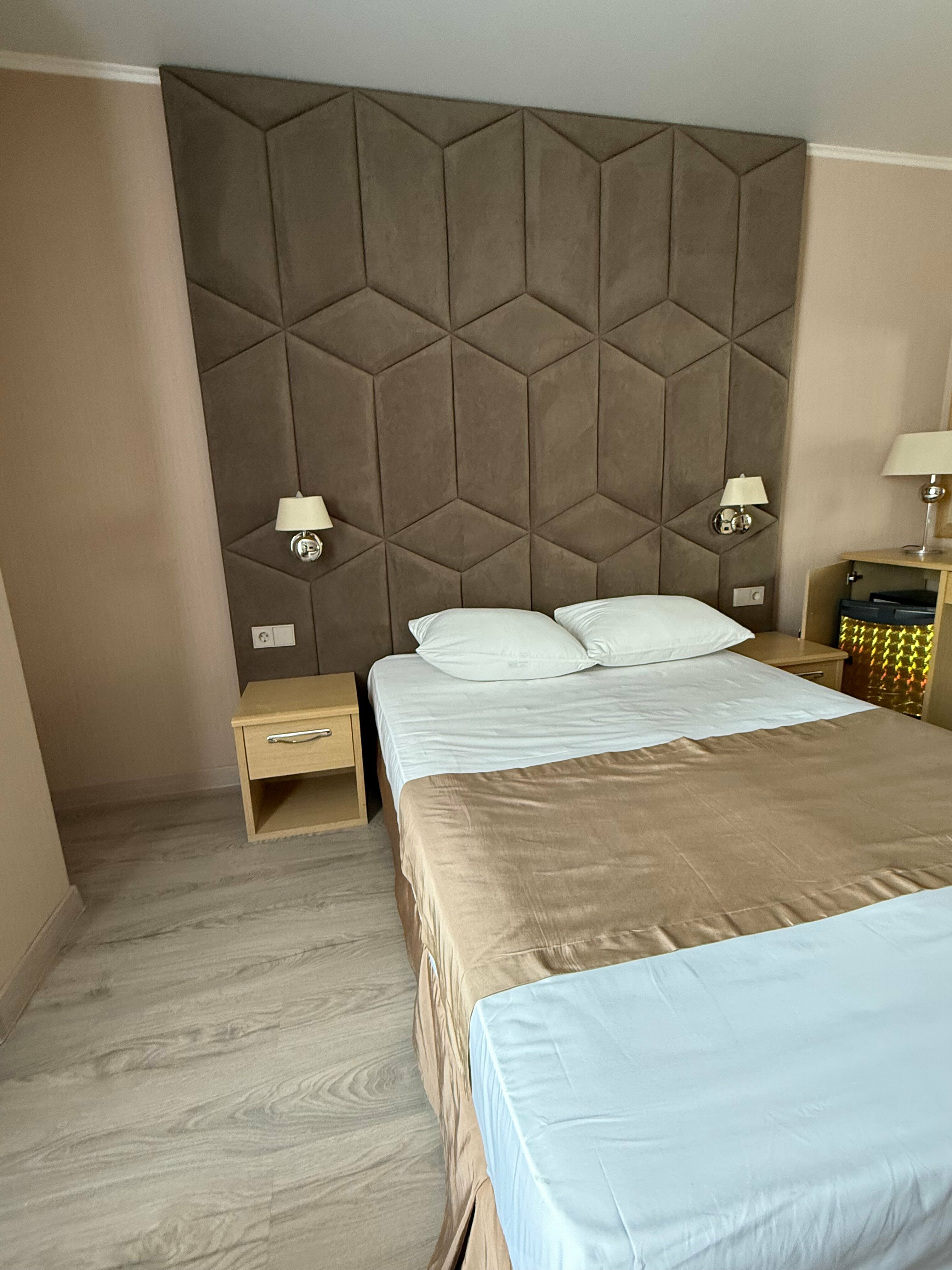 Двухместный номер с 1 кроватью