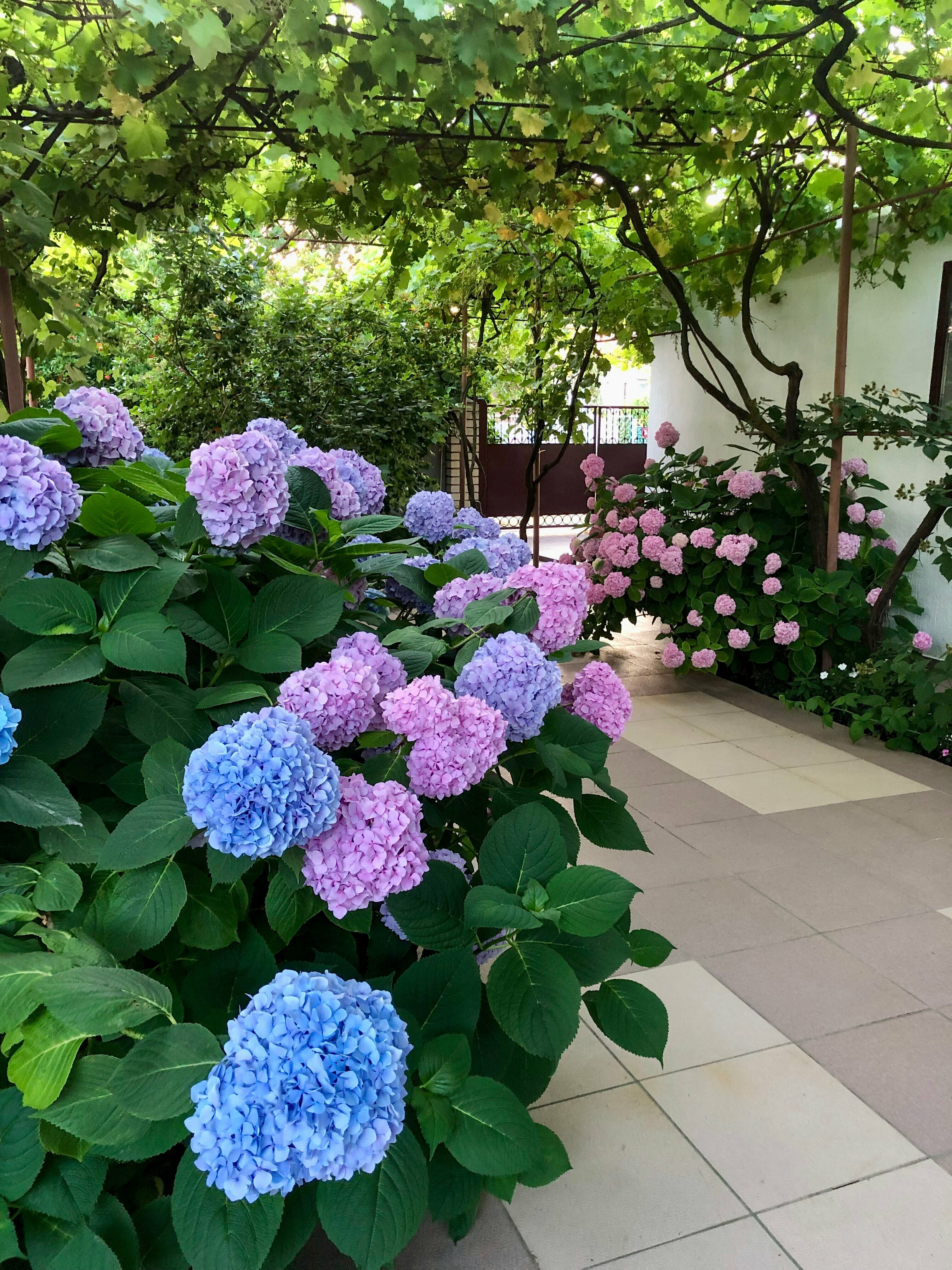 Классический четырехместный номер