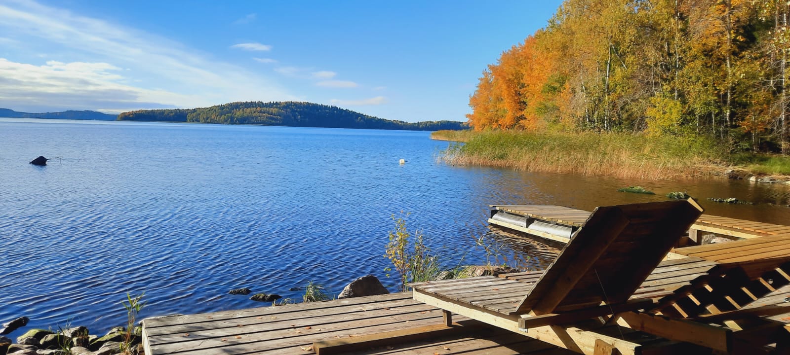 Дом с видом на лес