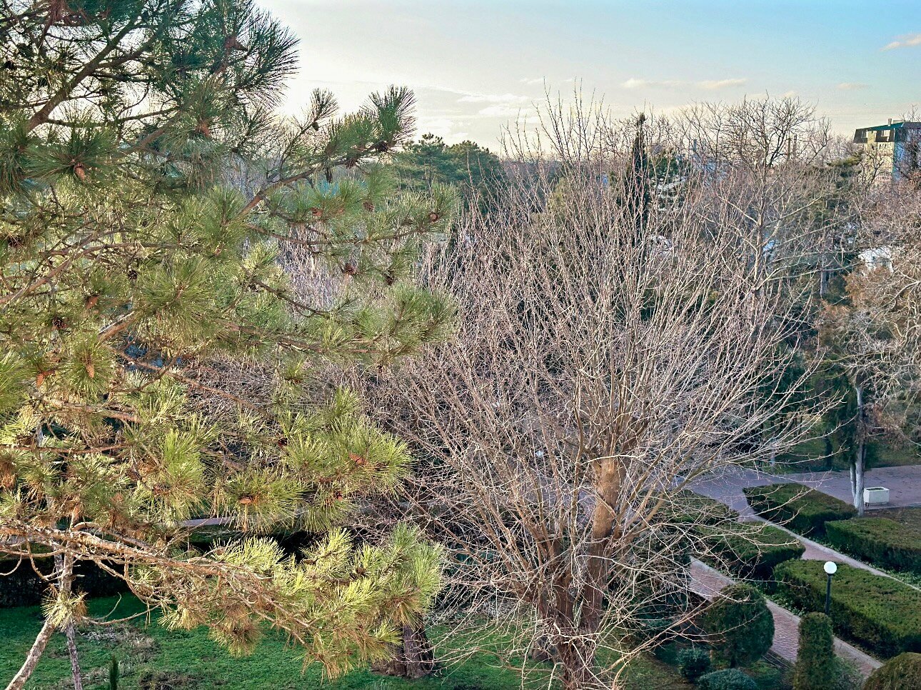 Одноместный  стандарт без балкона