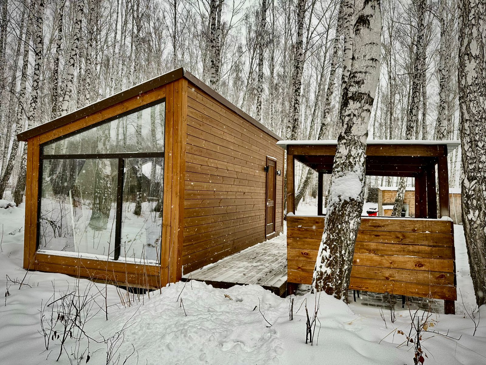 Дом с видом на лес