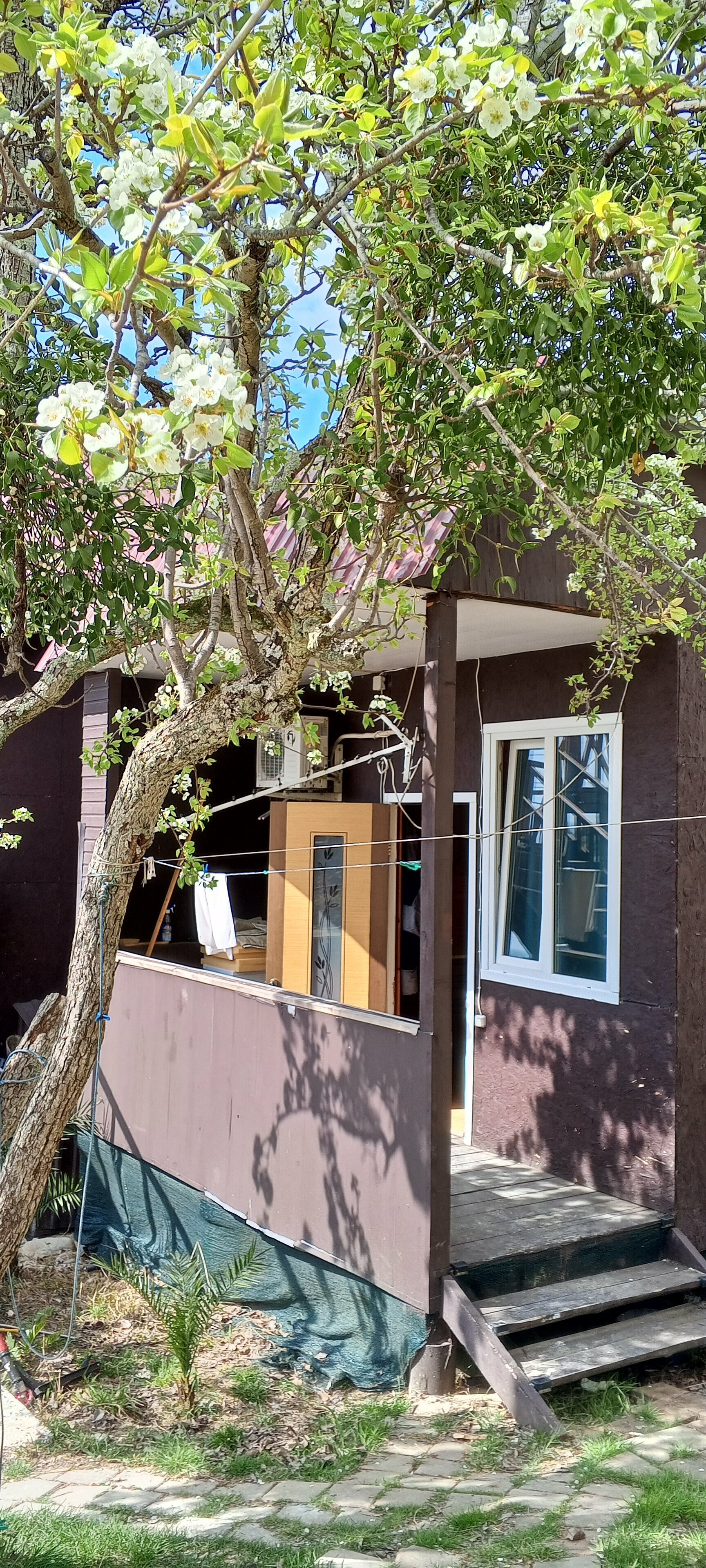 Трехместный номер «Комфорт»