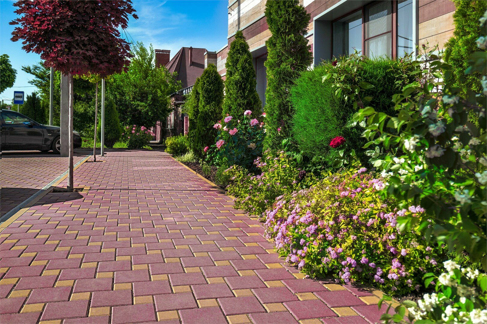 СТАНДАРТ ПЛЮС