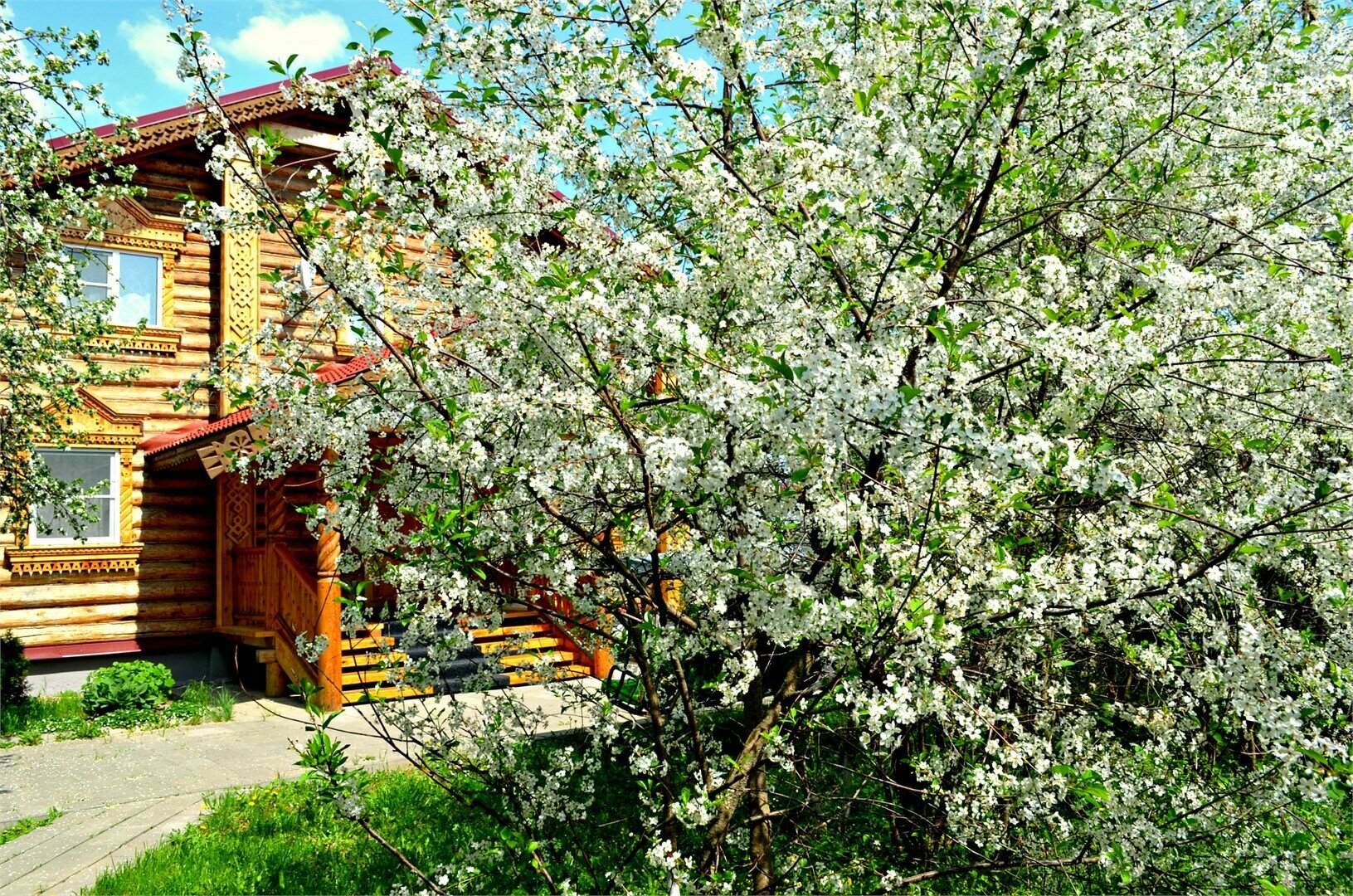 Гостевой Дом за вишнями