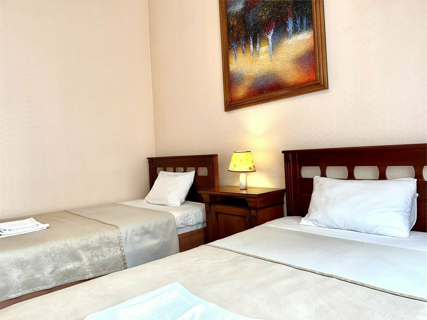 Номера Бизнес без балкона с двумя раздельными кроватями с видом во двор