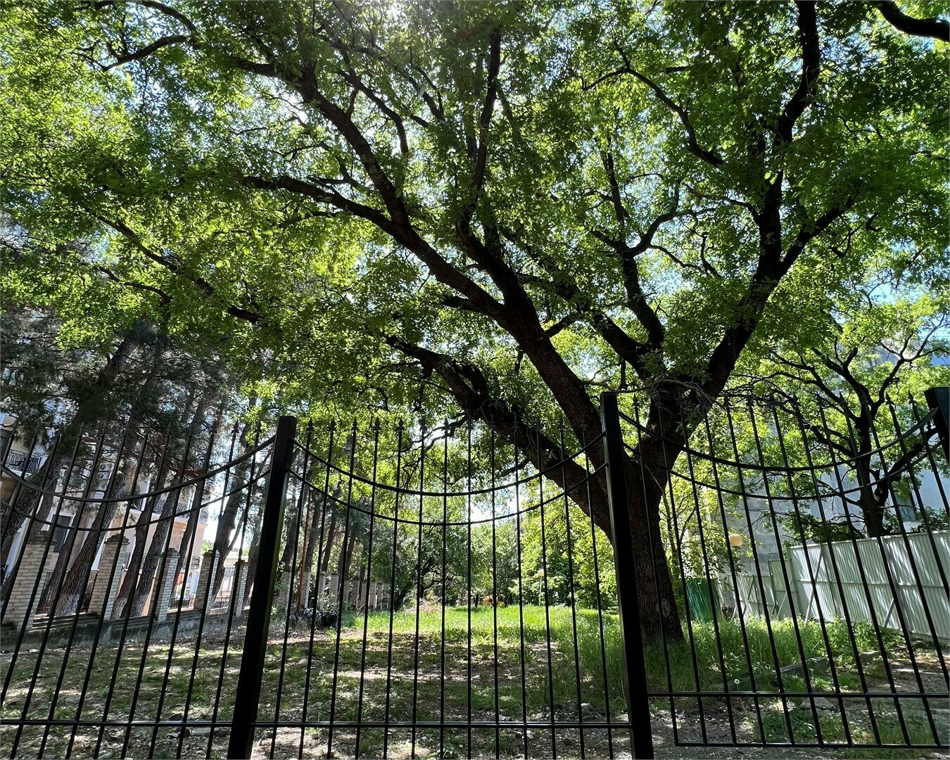 Семейный 4-местный