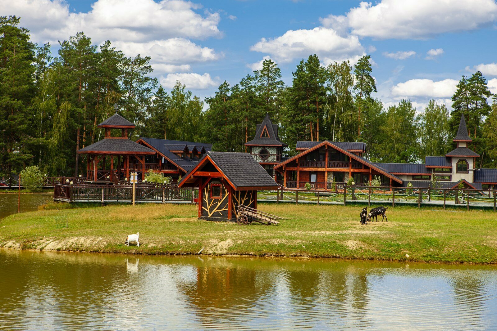 Двухместный номер с 2 отдельными кроватями