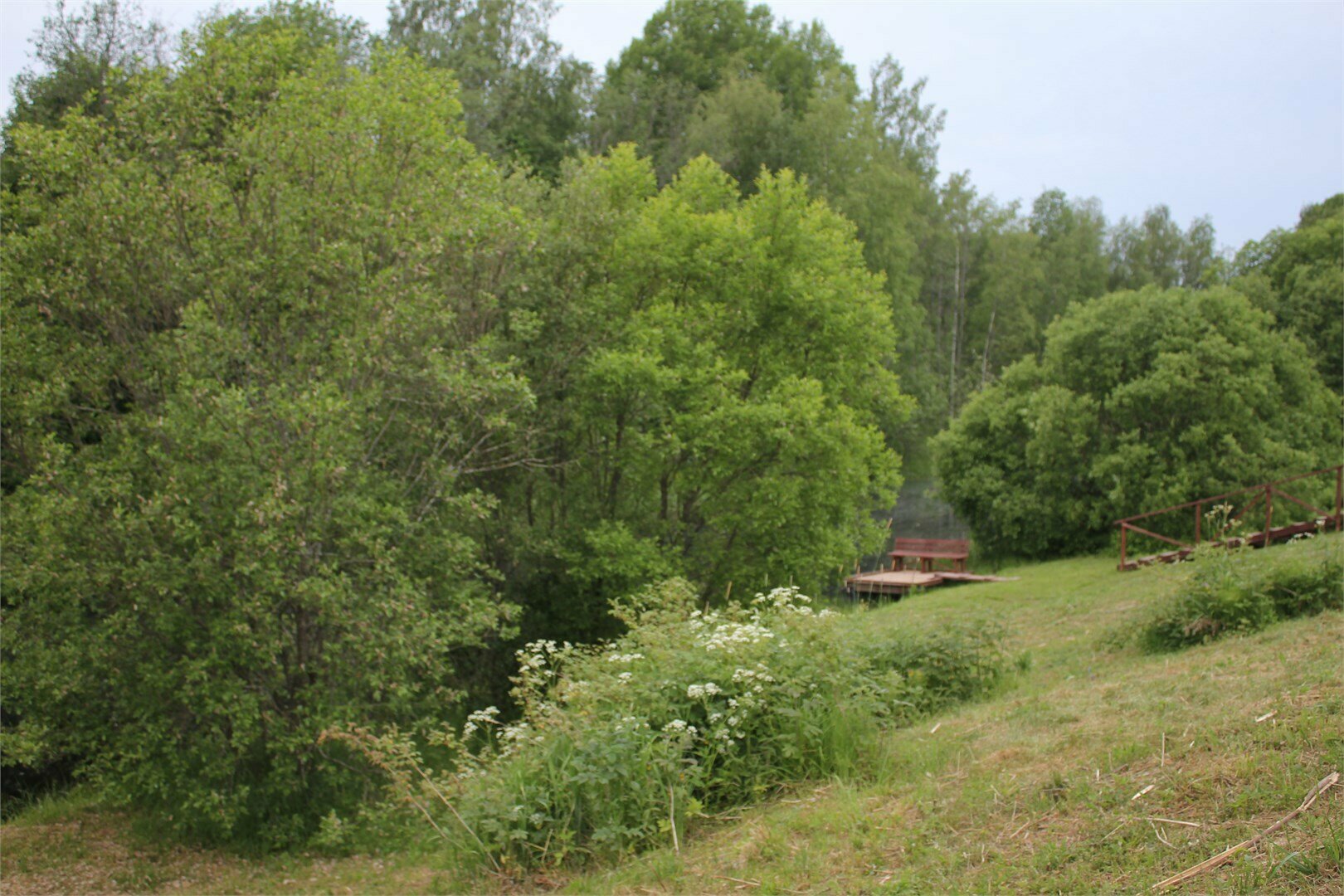 3 дом "Паула"