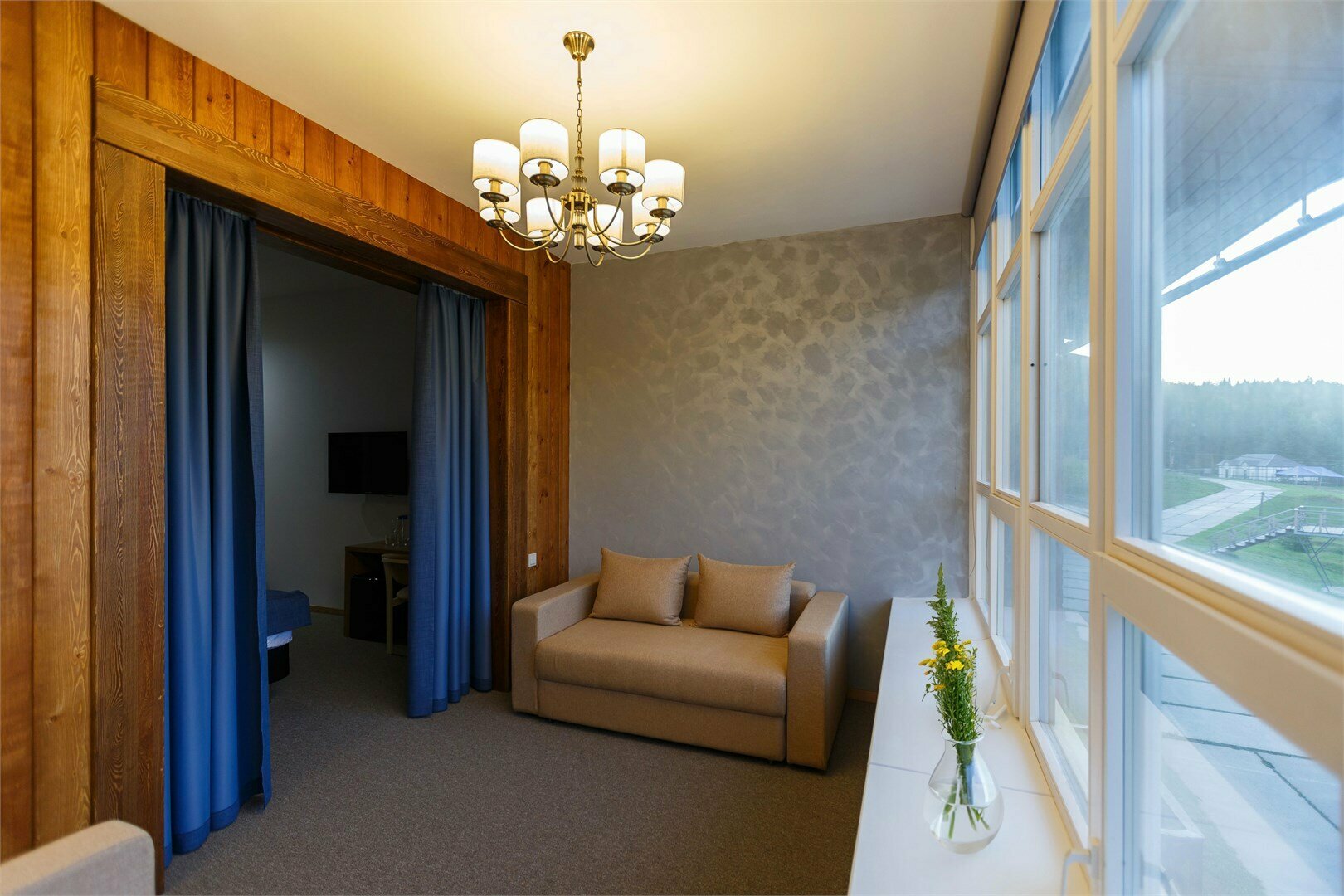 Стандарт № 209