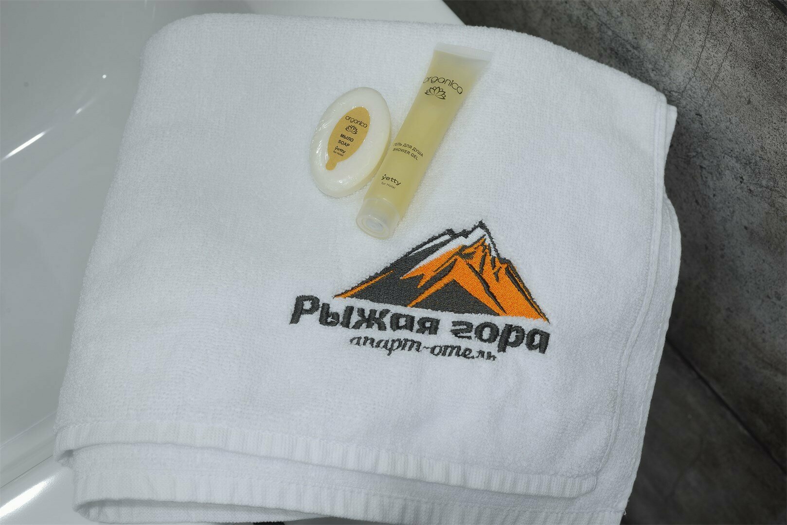 Семейный номер с видом на горы