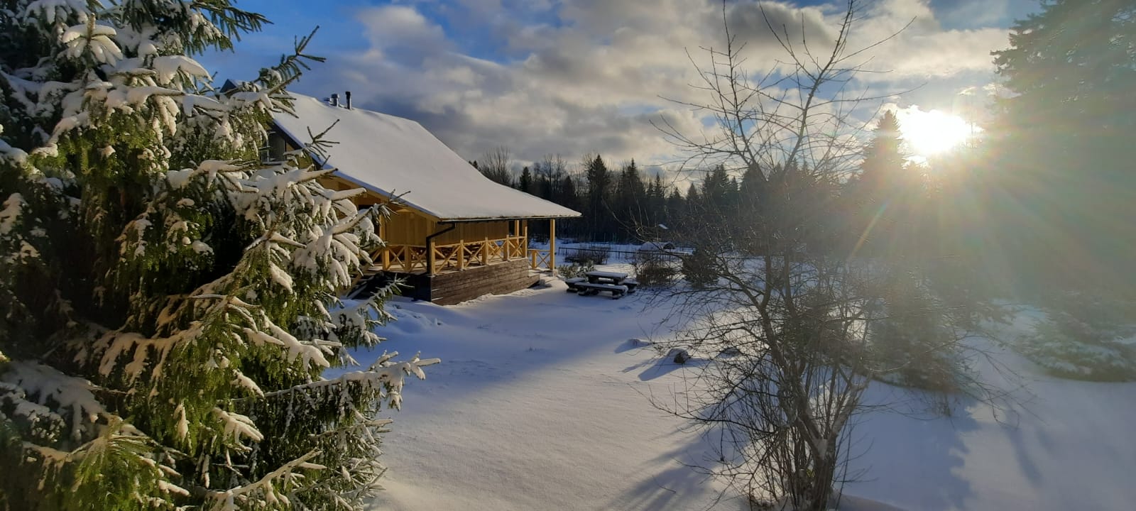 Коттедж с видом на лес