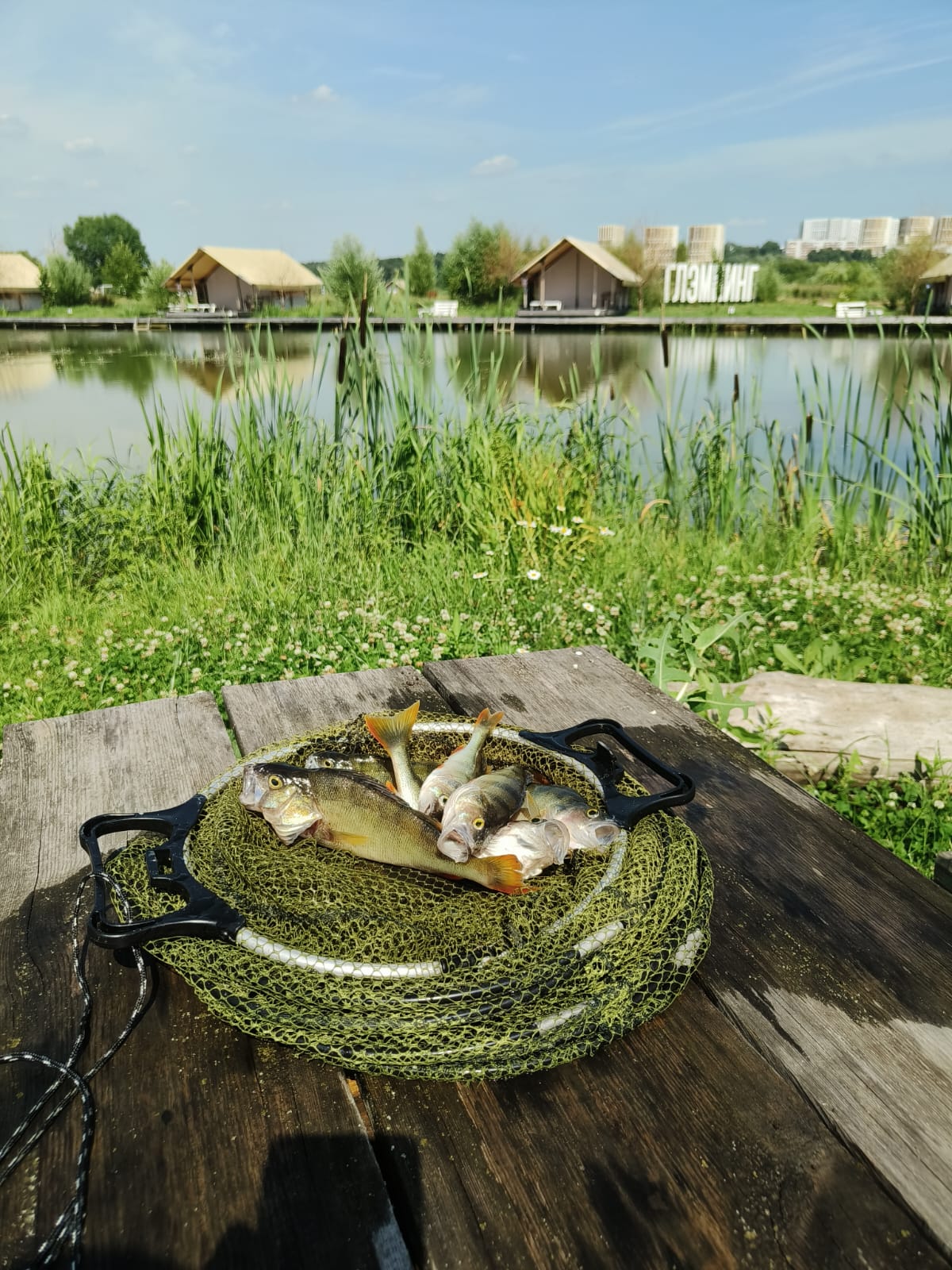 Сафари -тент