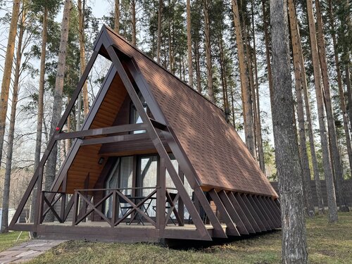 Дом с видом на лес