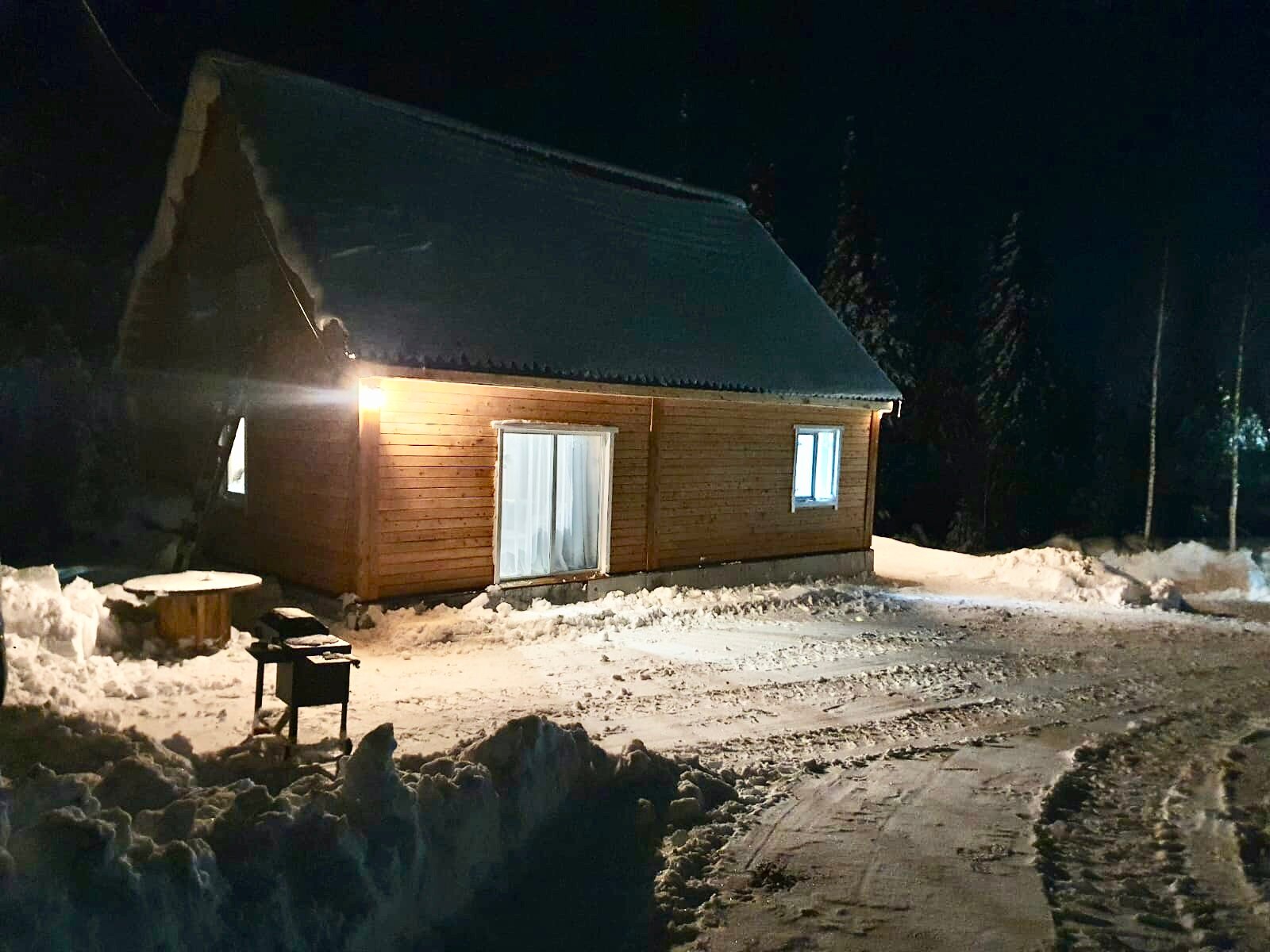 Рябинка дом из кедра