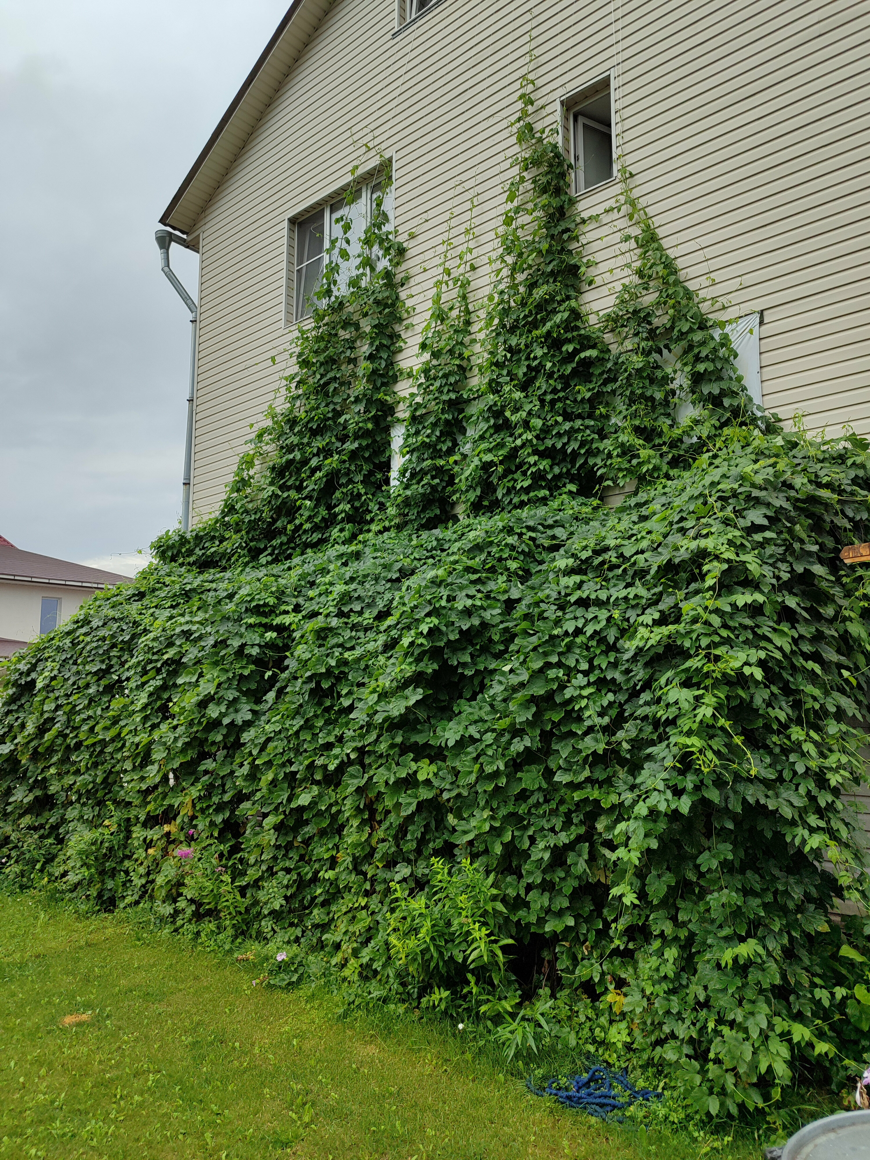 "Кибитка Путешественника", гостевой домик на территории, трехместный, односпальные кровати, Wi-Fi , ТВ, холодильник, электрочайник, 9кв/м, общие удобства в доме