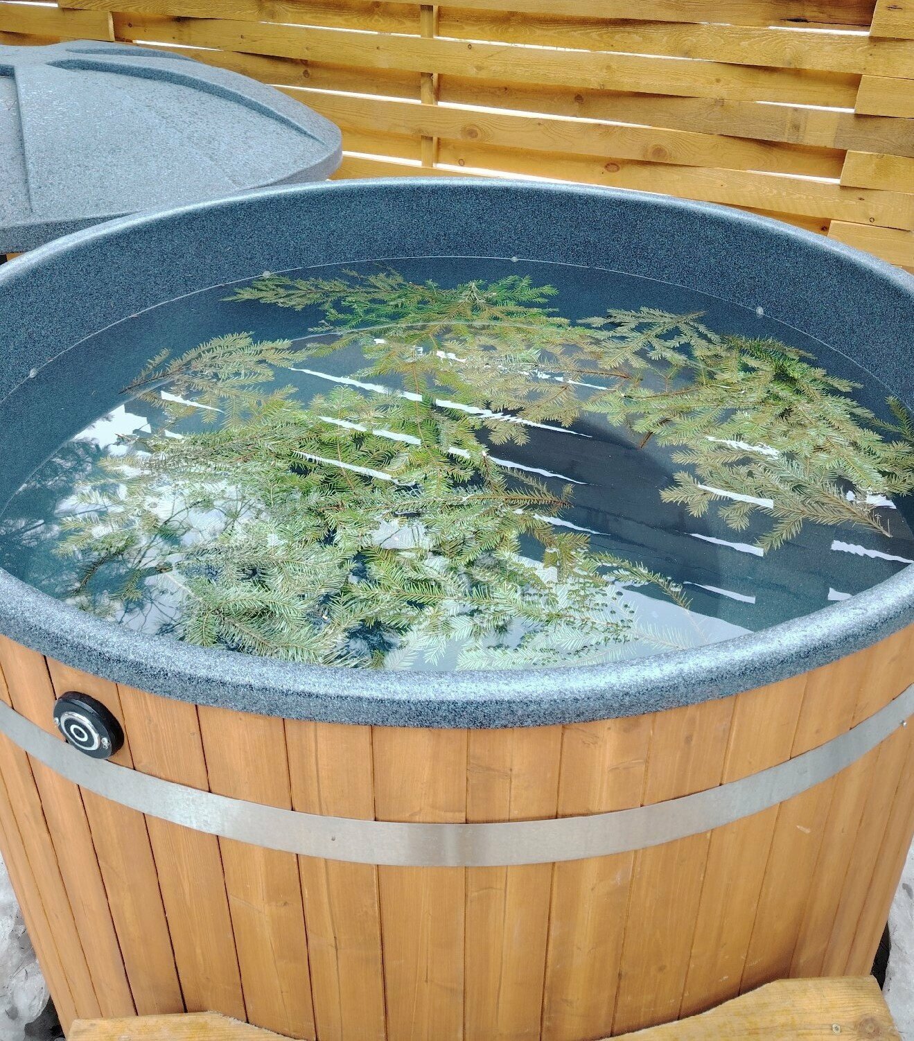 Домик-студия