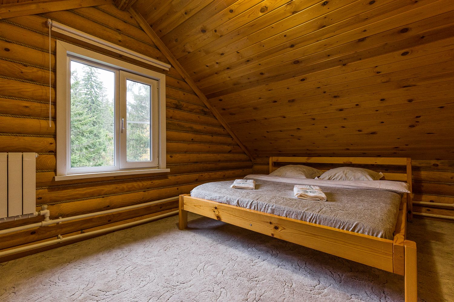 Коттедж с видом на лес