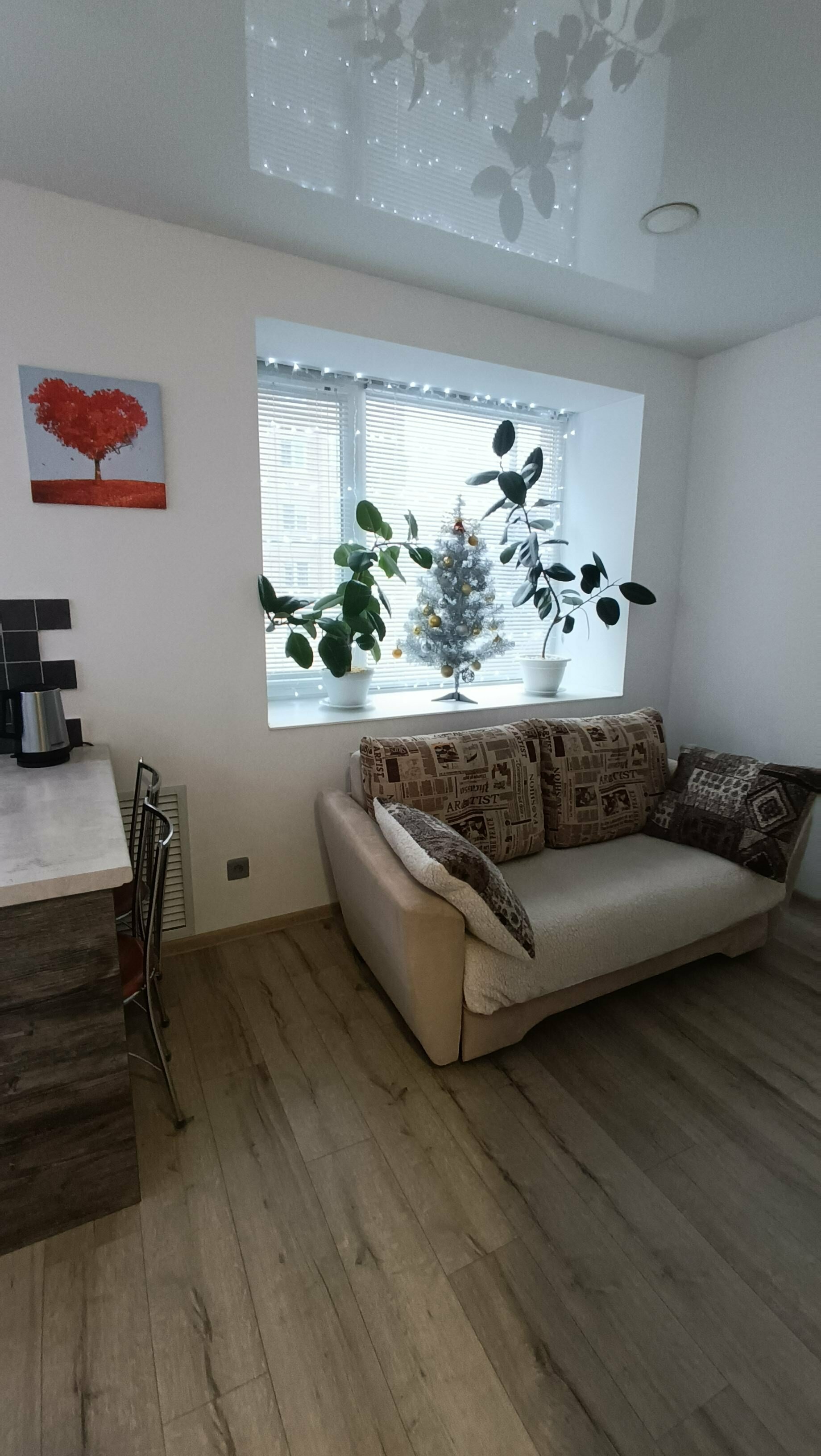 Апартаменты с 1 спальней