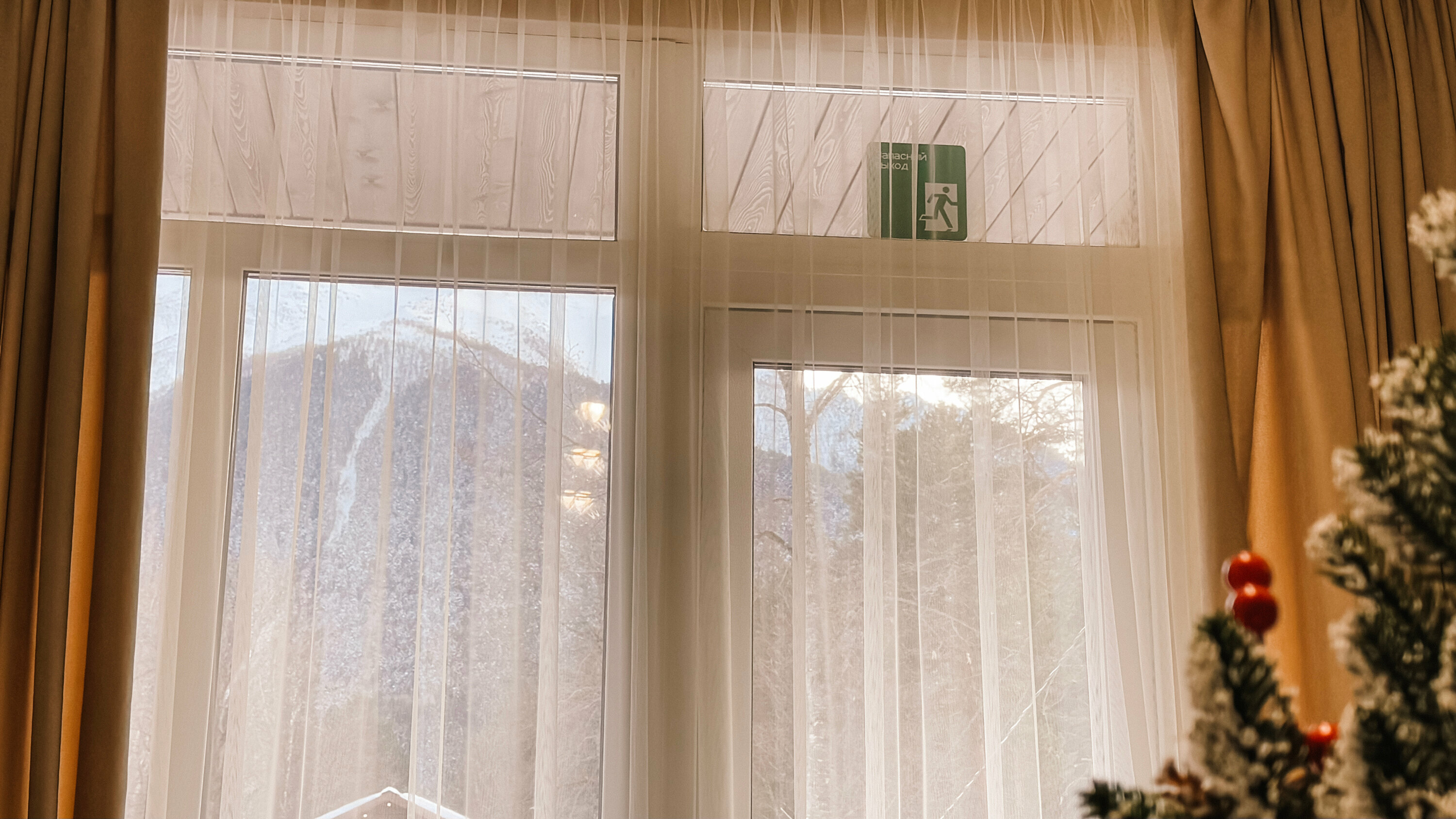 Дом с видом на лес