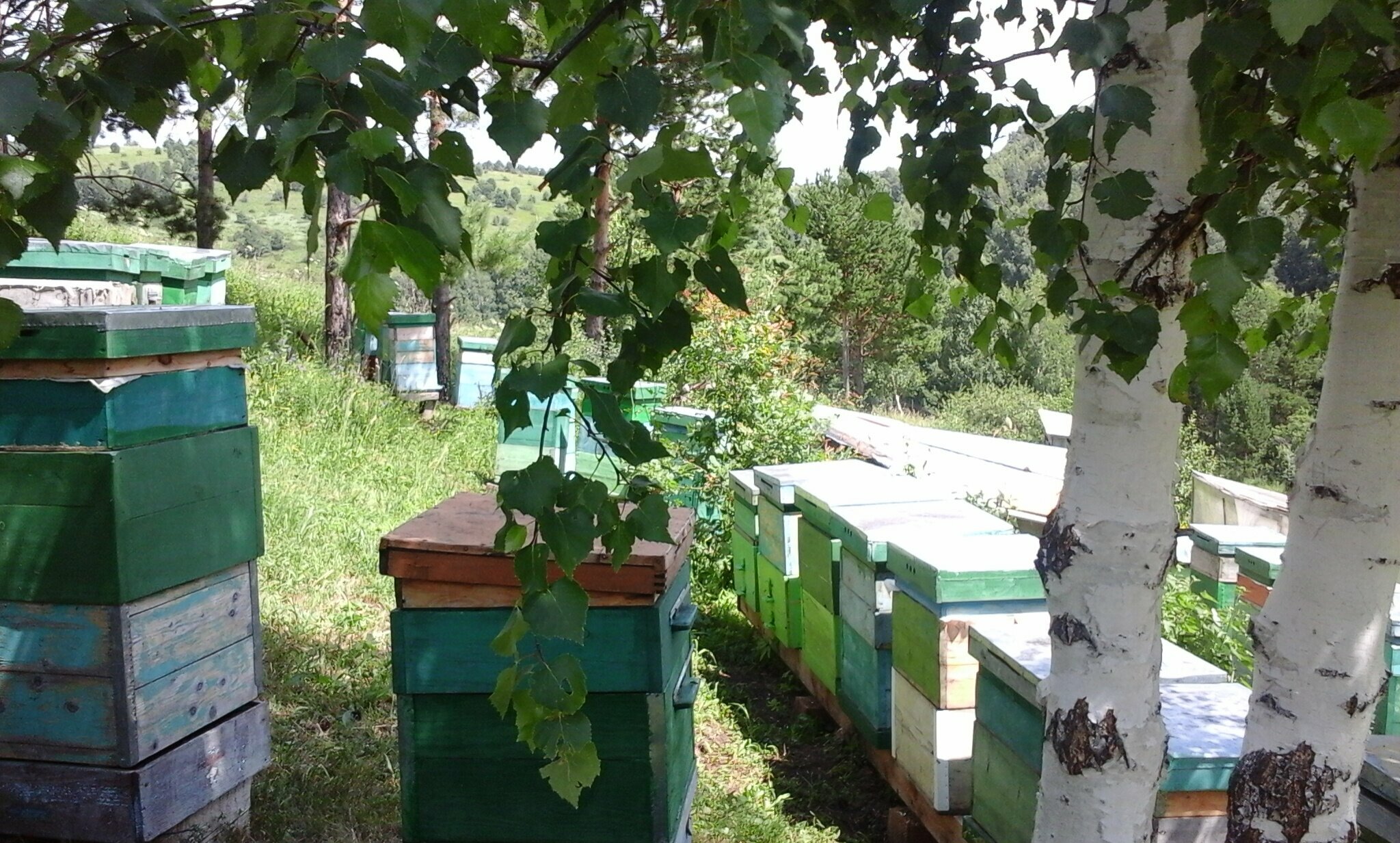 Дом для отпуска