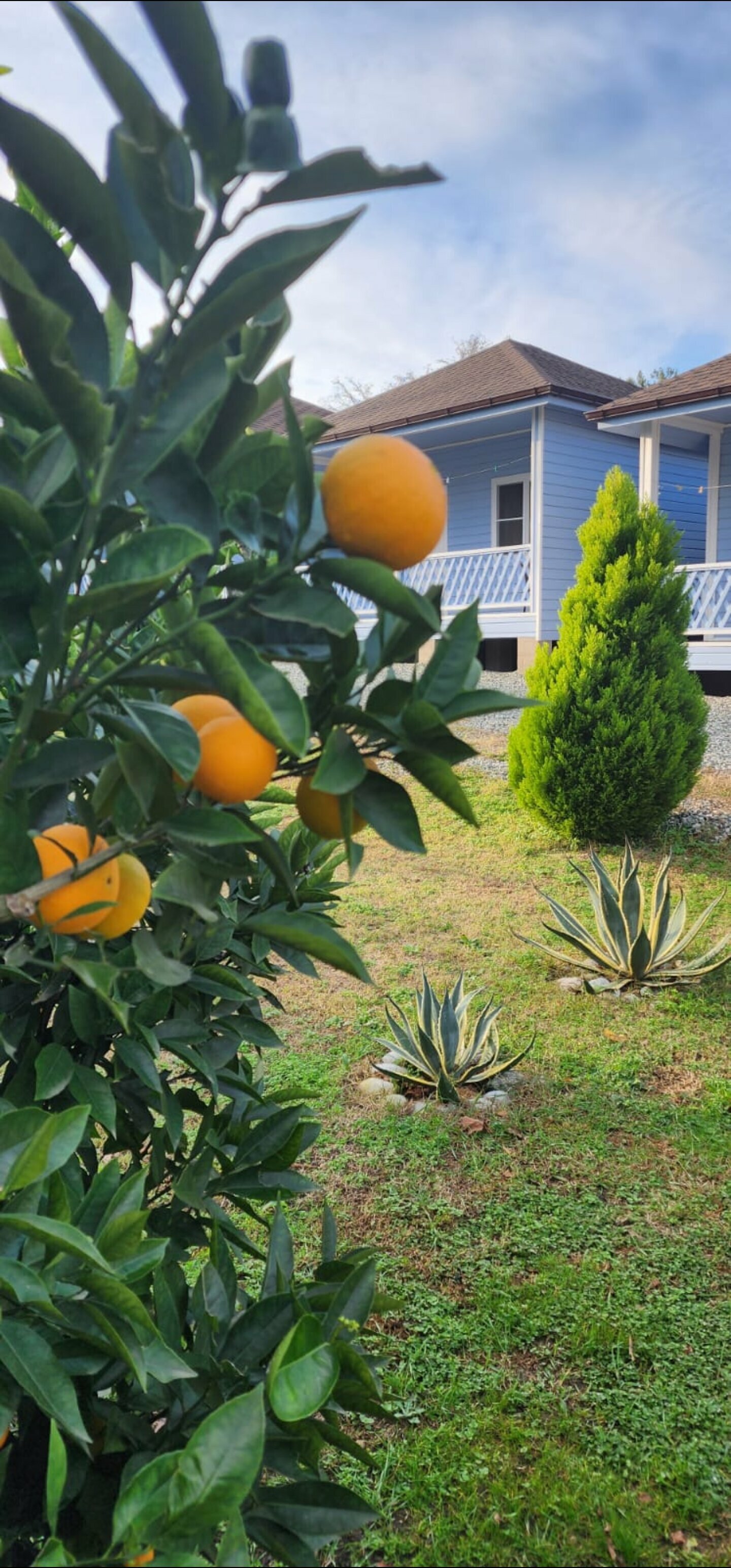 Трехместный номер "люкс"