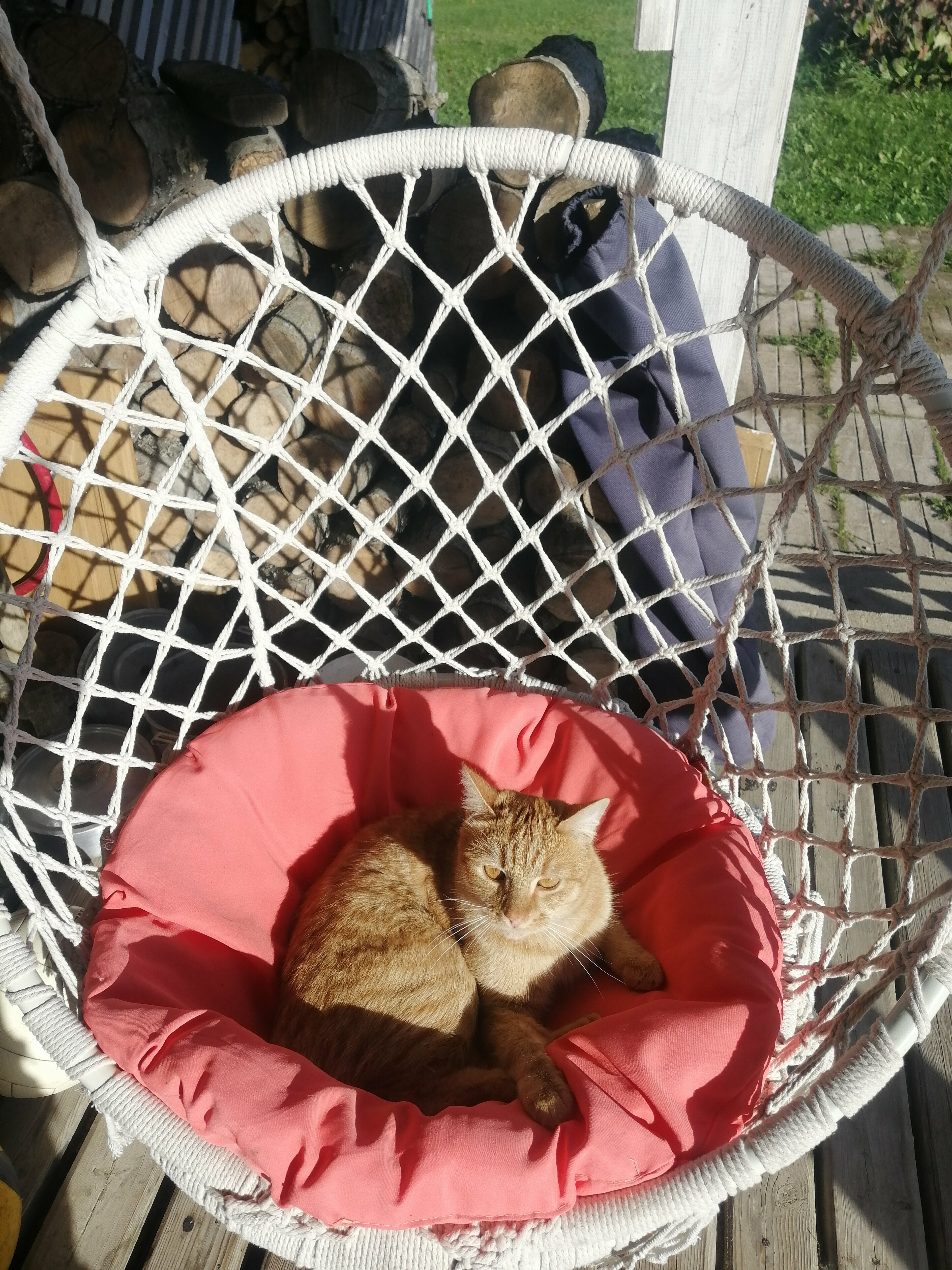 Коттедж для семейного отдыха