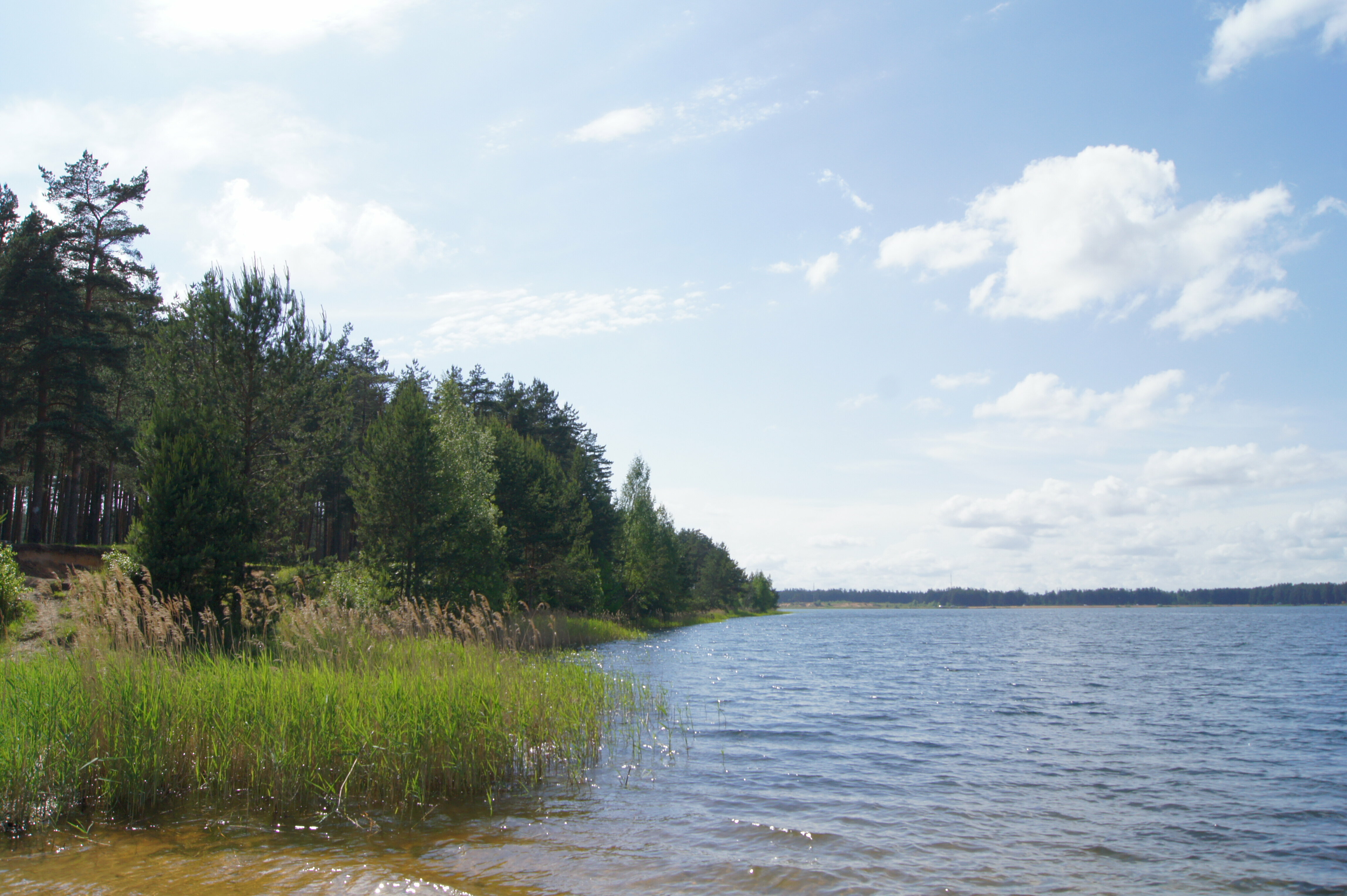 Дом большой на озере в сосновом бору 