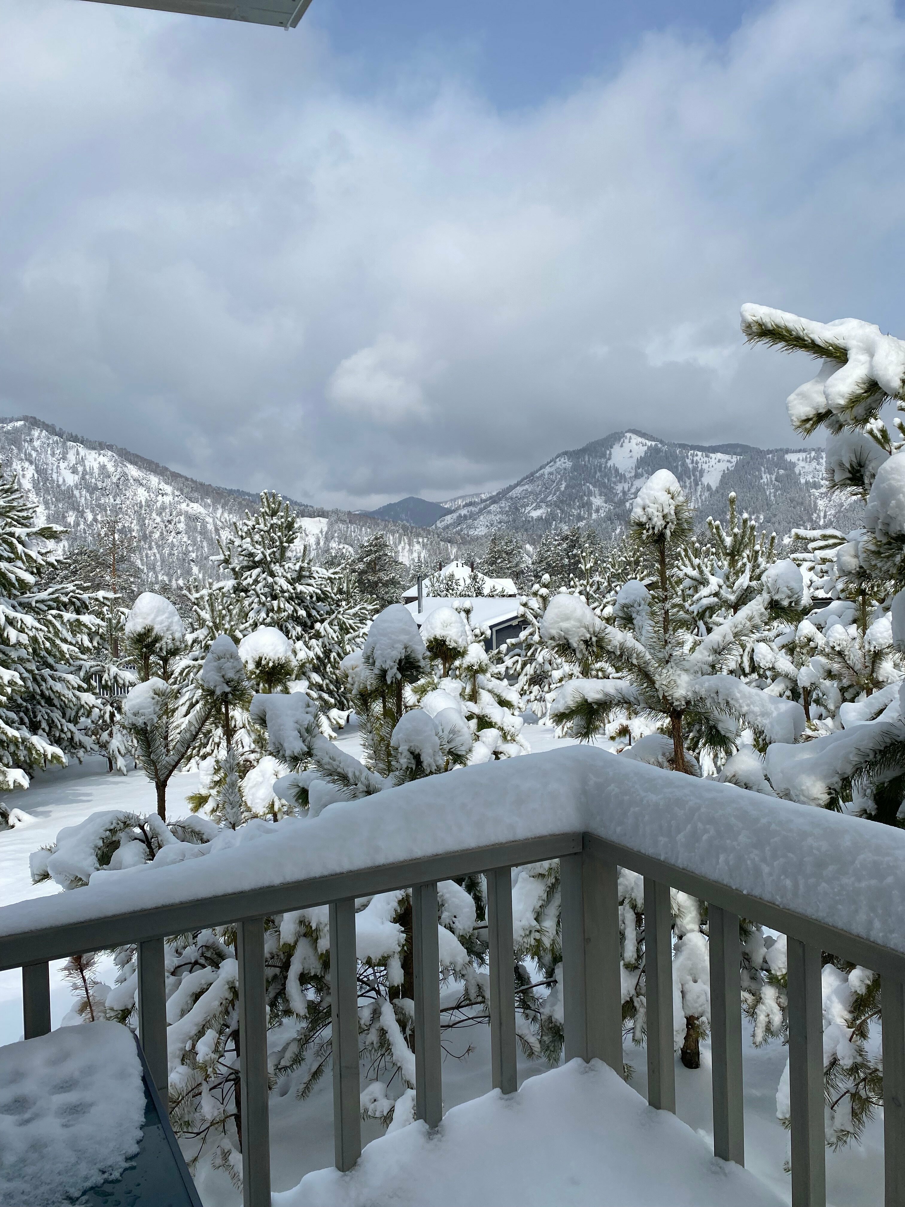 Семейный четырехместный дом