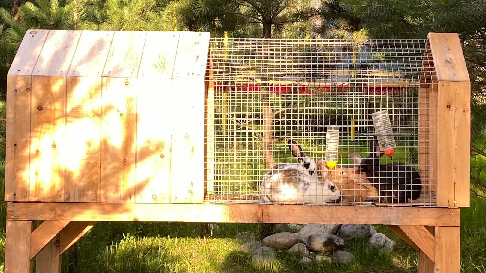 Семейный четырехместный дом